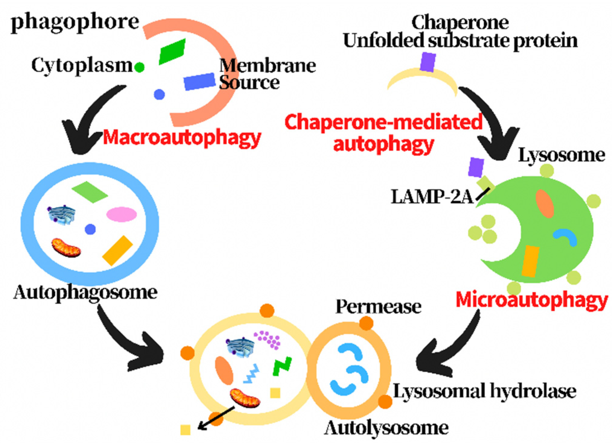 Metabolites 12 00879 g001