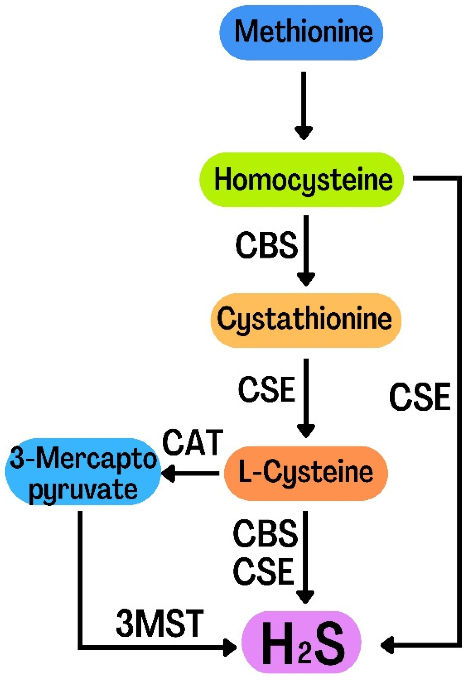 Metabolites 12 00879 g002
