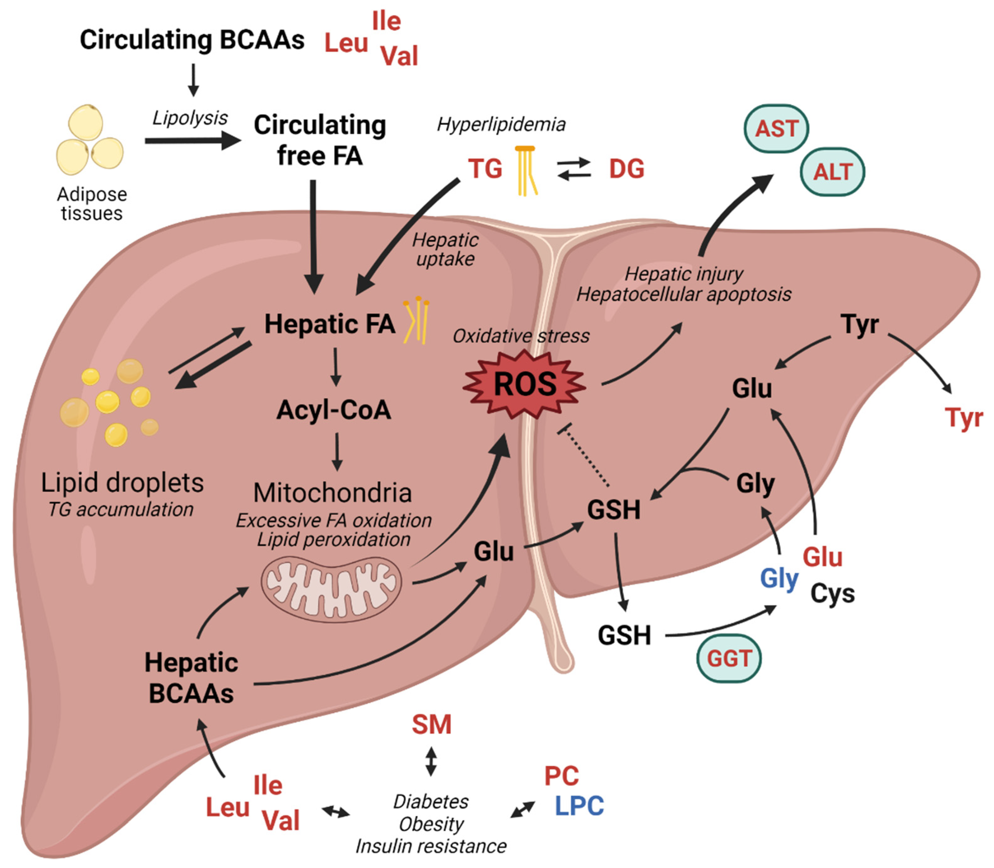 Metabolites 12 00881 g005