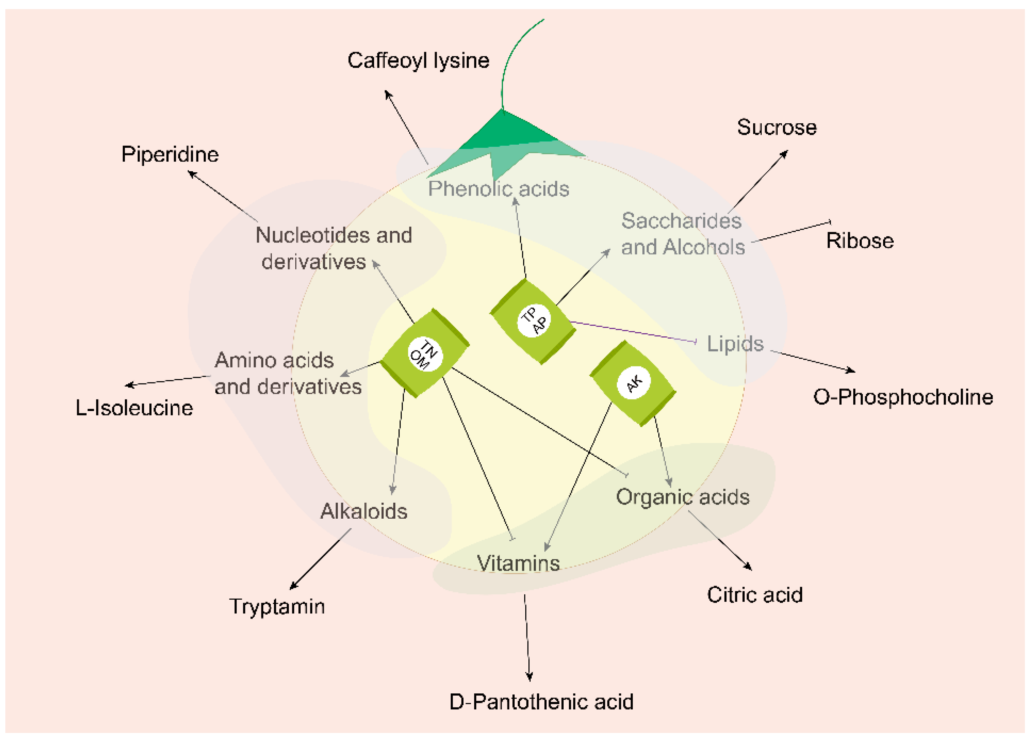 Metabolites 12 00885 g010