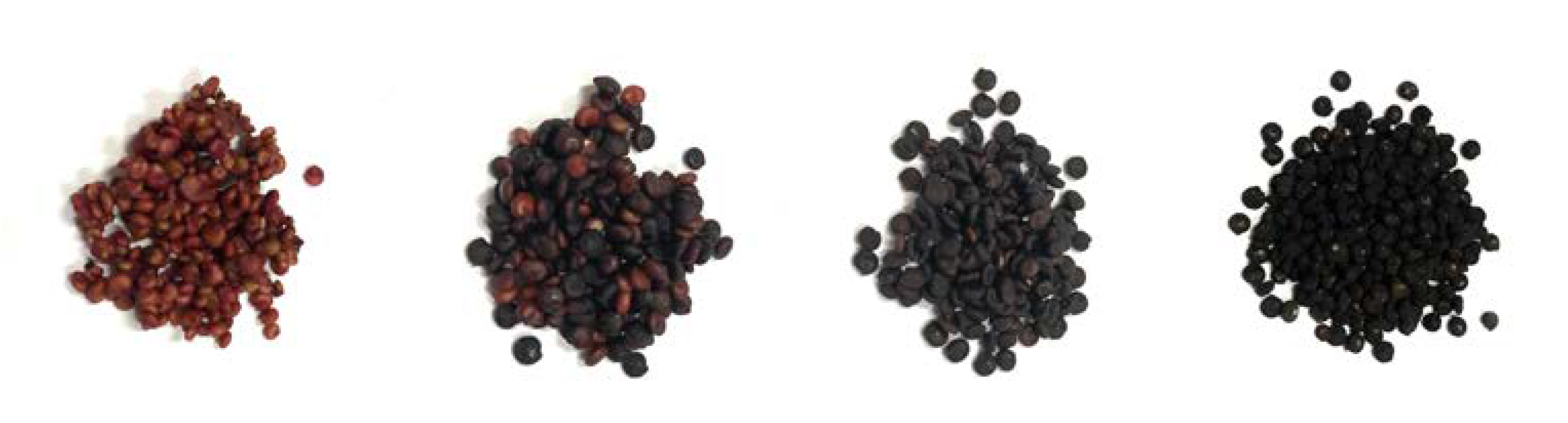 Metabolites 12 00887 g006 Metabolites 12 00887 g006