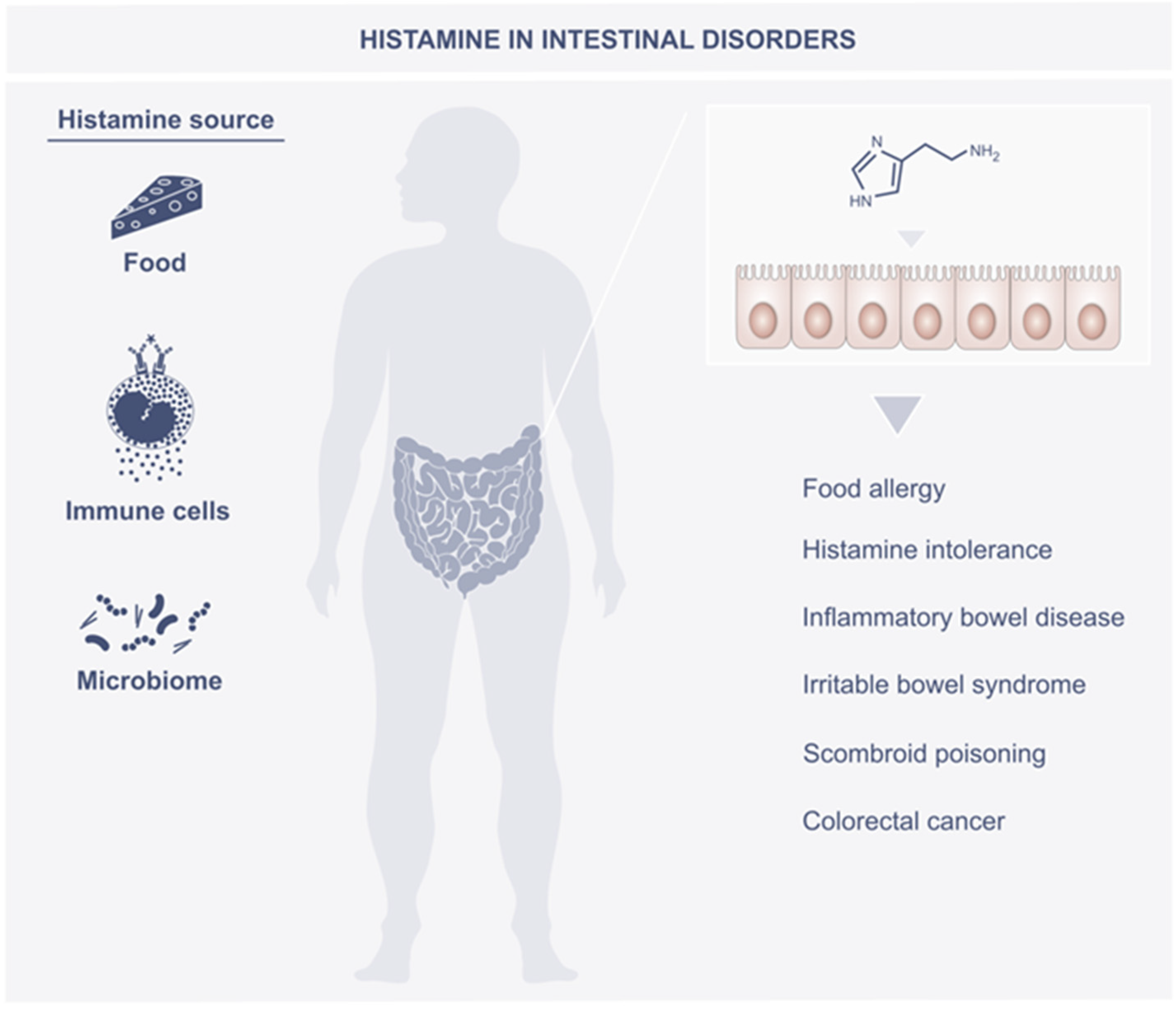 Metabolites 12 00895 g002