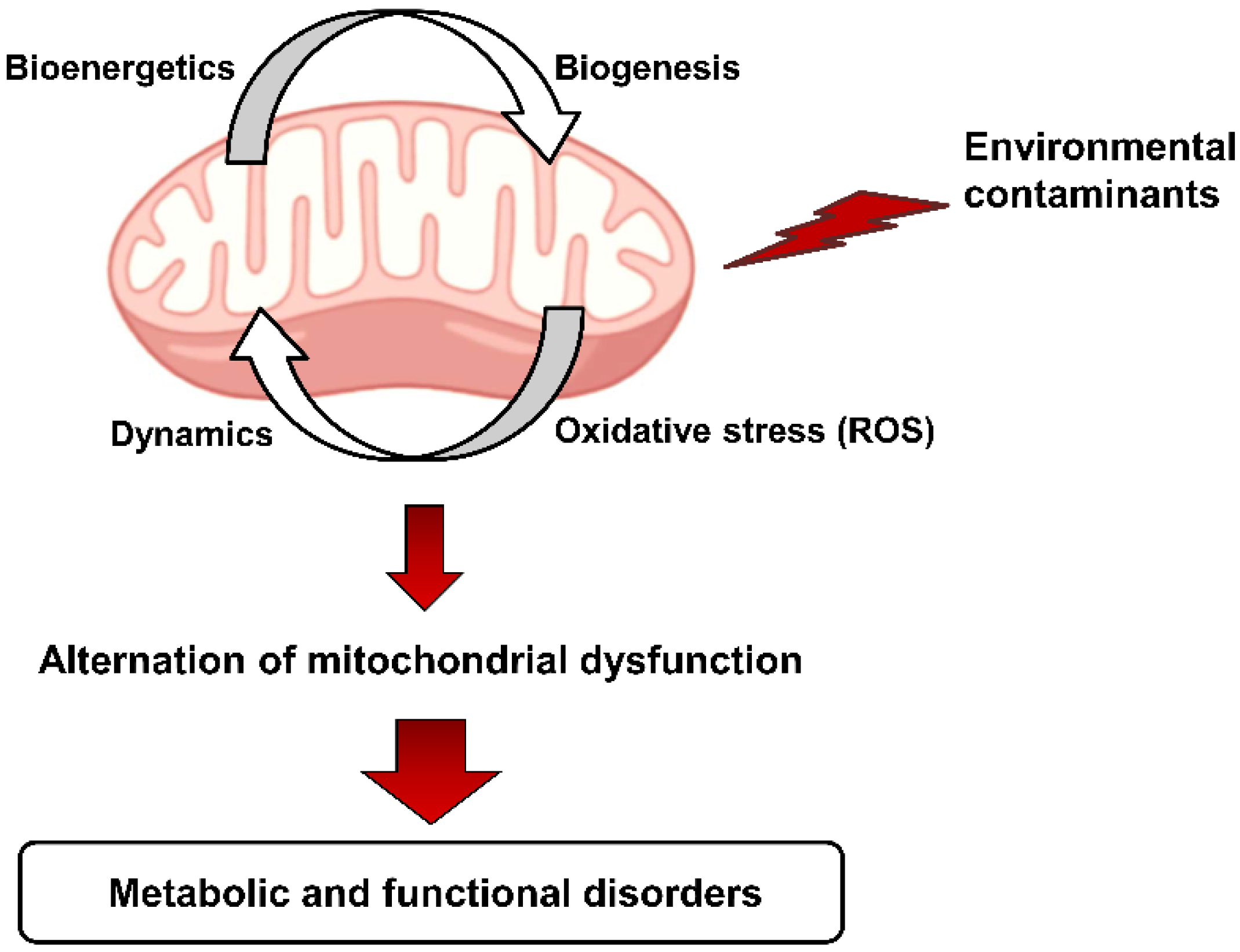 Metabolites 12 00897 g001 Metabolites 12 00897 g001