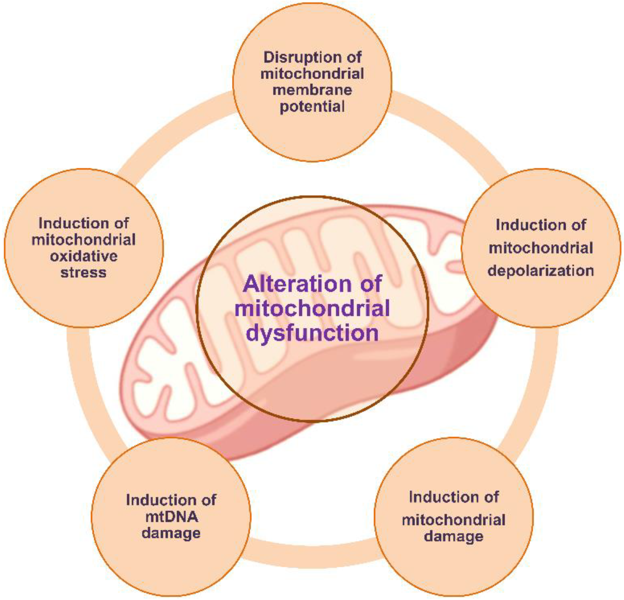 Metabolites 12 00897 g003 Metabolites 12 00897 g003