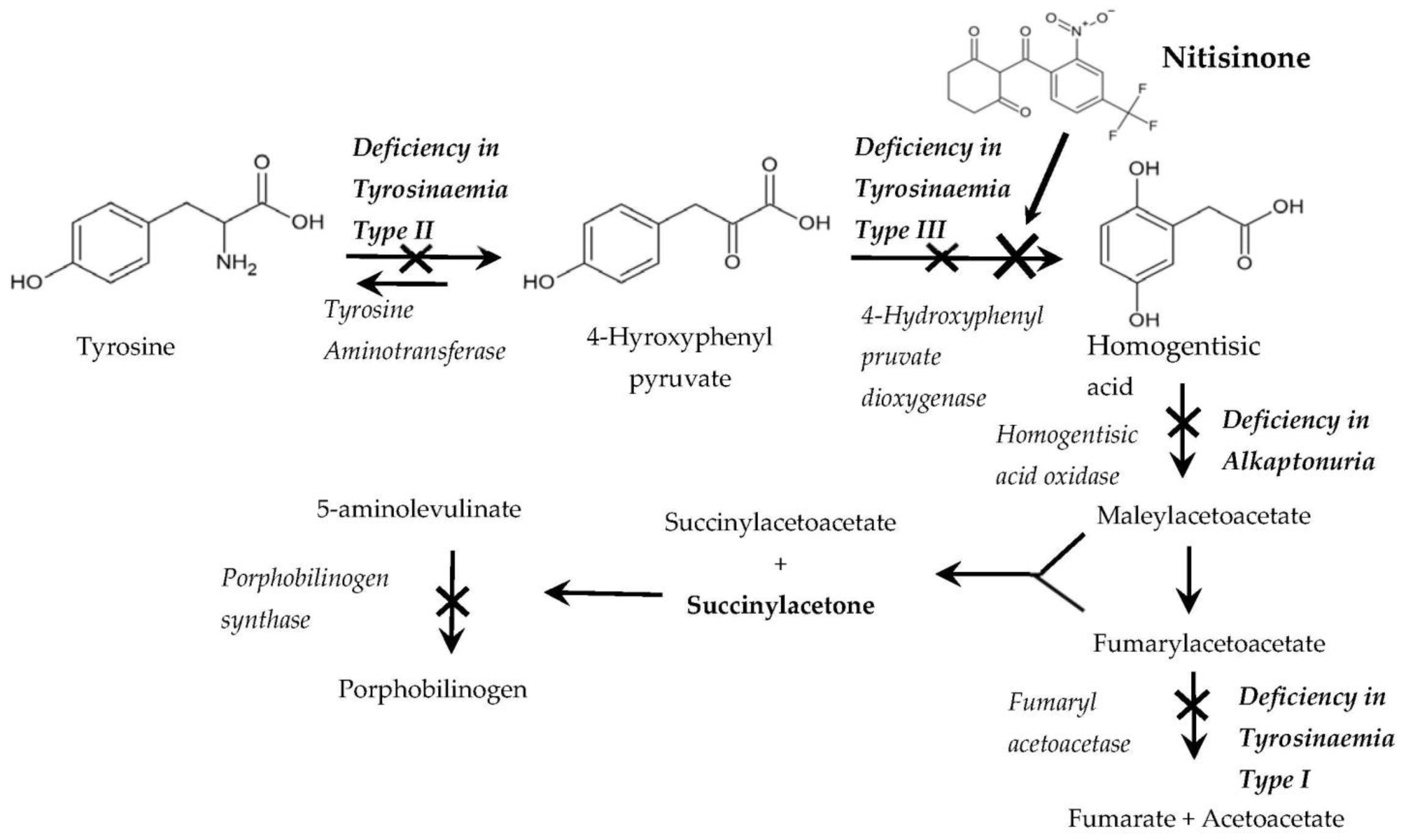 Metabolites 12 00902 g001