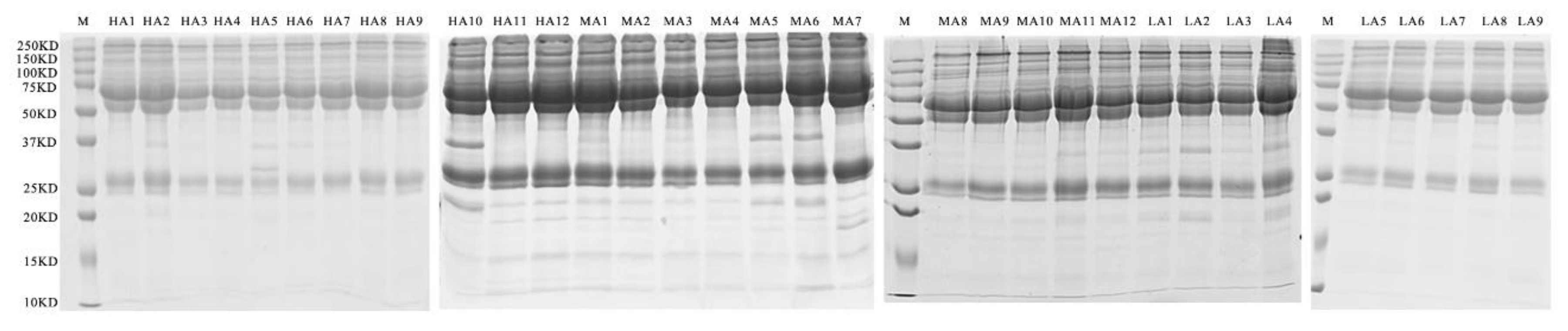 Metabolites 12 00909 g003