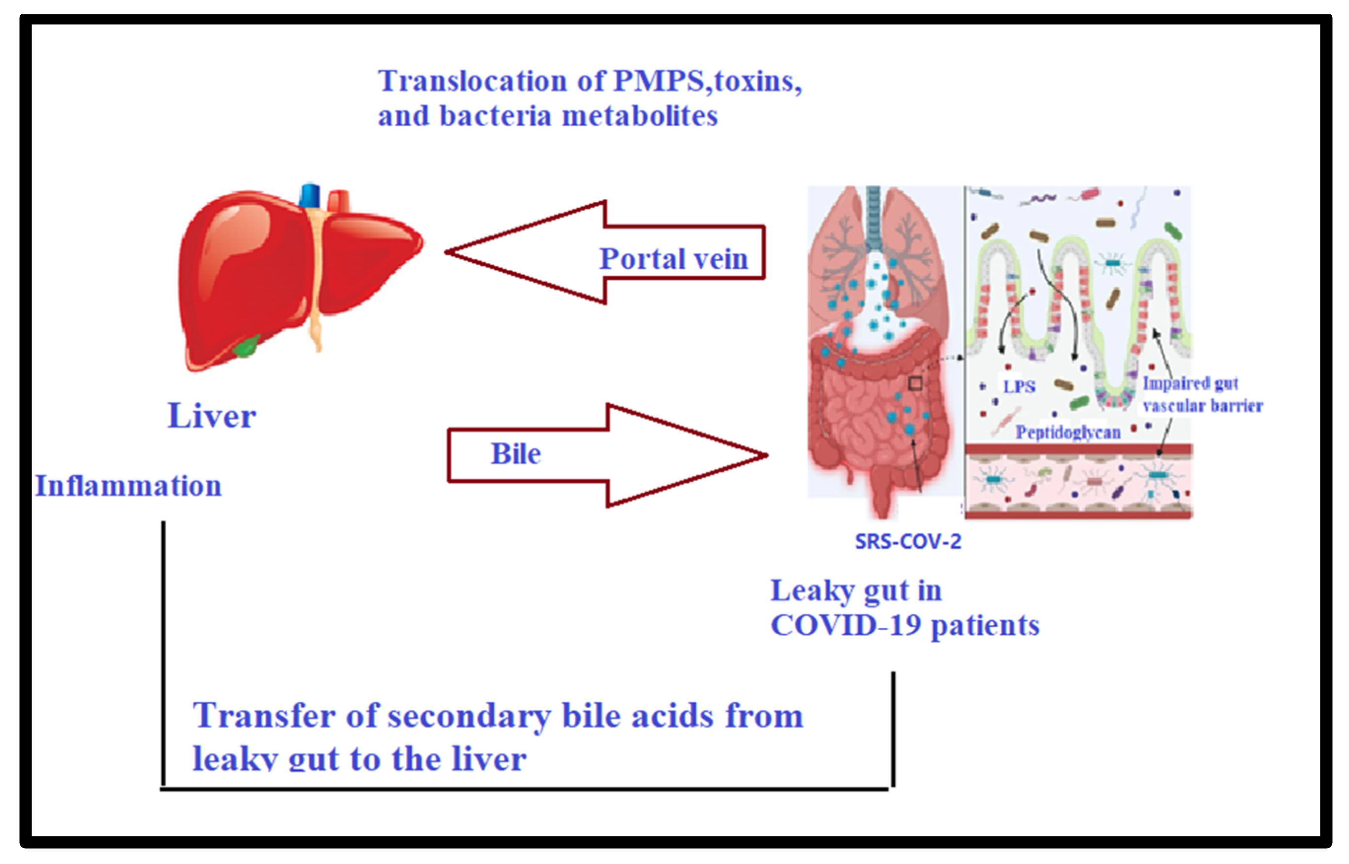 Metabolites 12 00912 g001 Metabolites 12 00912 g001