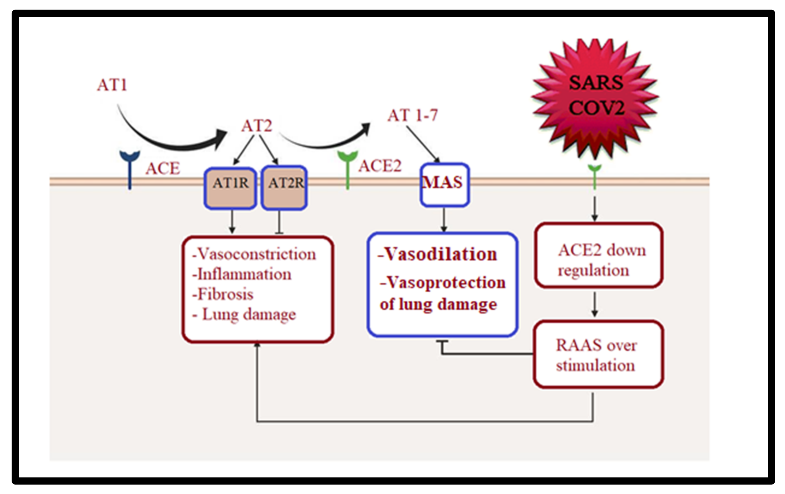 Metabolites 12 00912 g002 Metabolites 12 00912 g002
