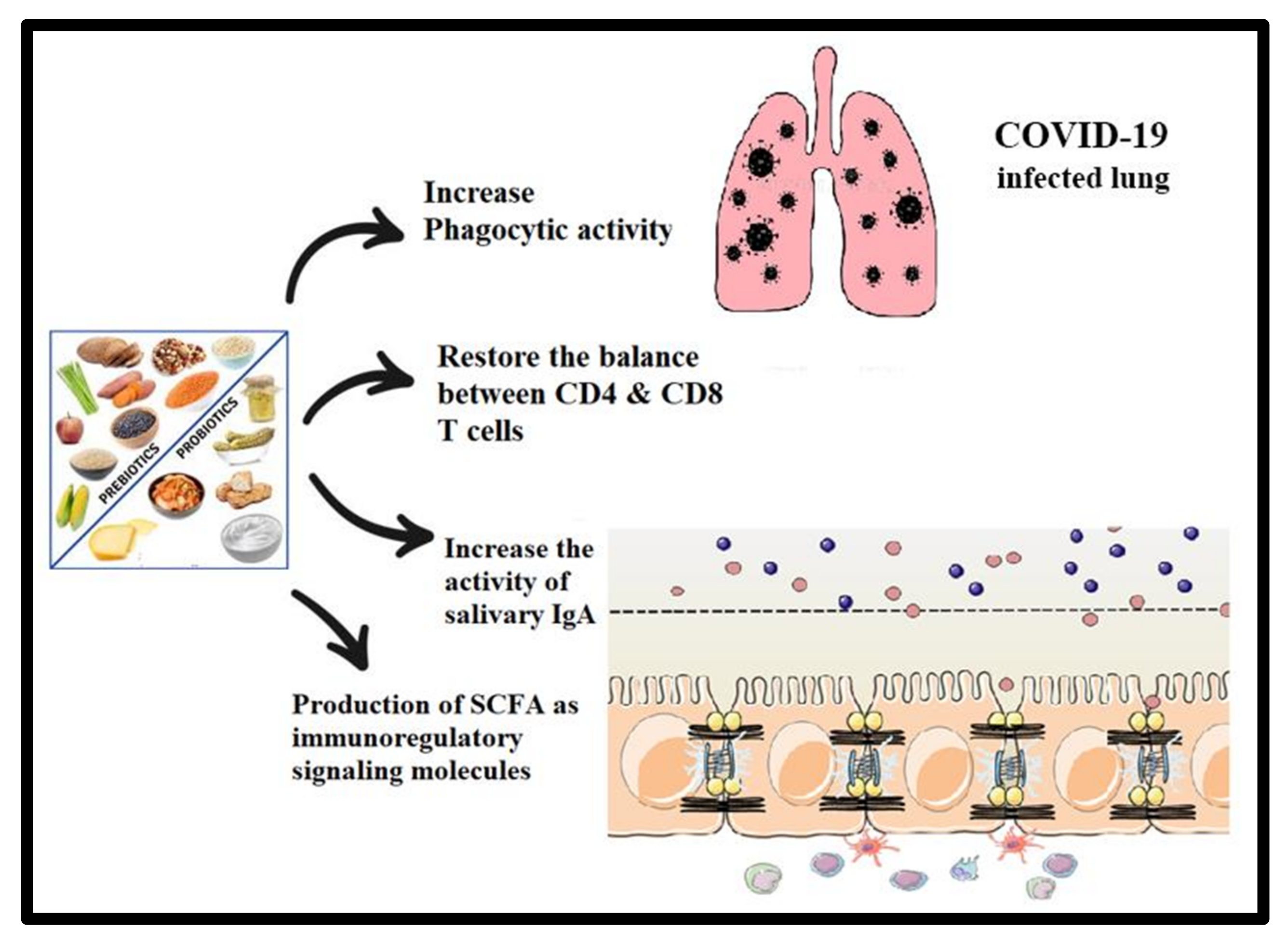 Metabolites 12 00912 g005 Metabolites 12 00912 g005