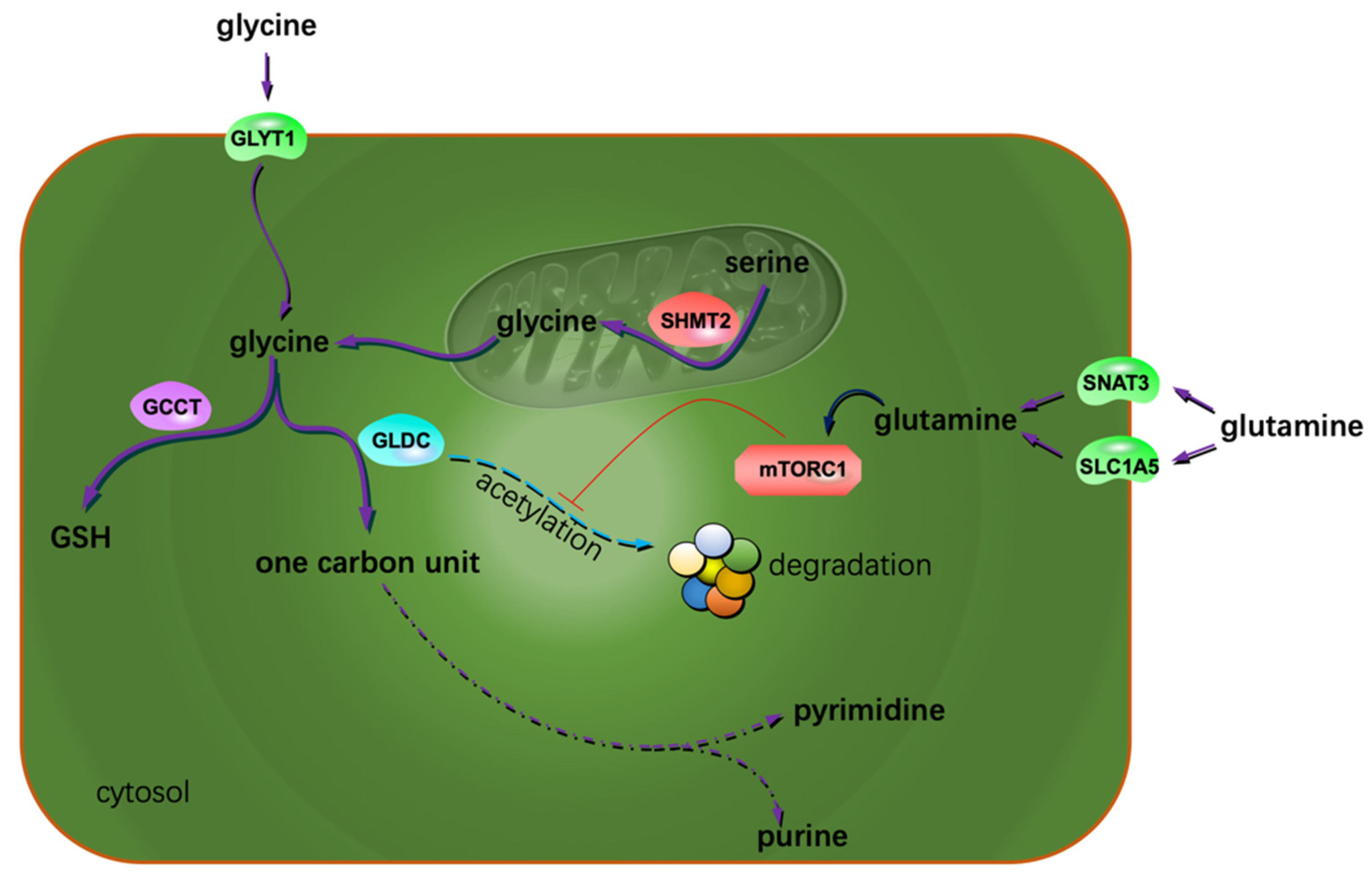 Metabolites 12 00918 g001 Metabolites 12 00918 g001