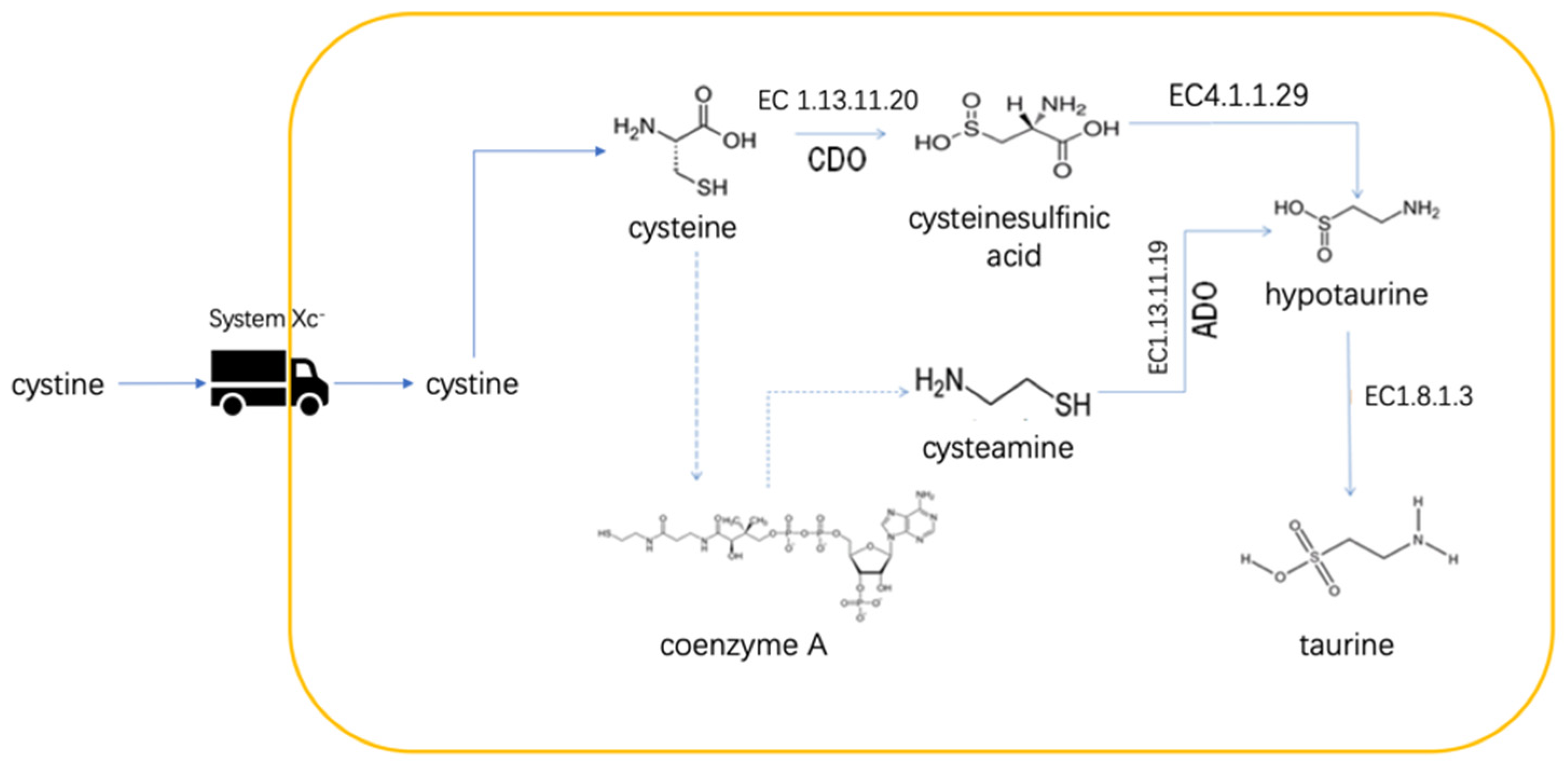 Metabolites 12 00918 g005 Metabolites 12 00918 g005