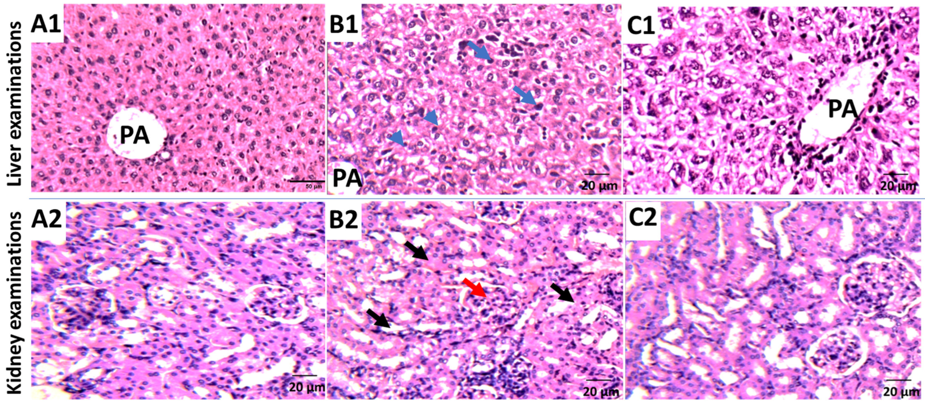 Metabolites 12 00921 g007 Metabolites 12 00921 g007