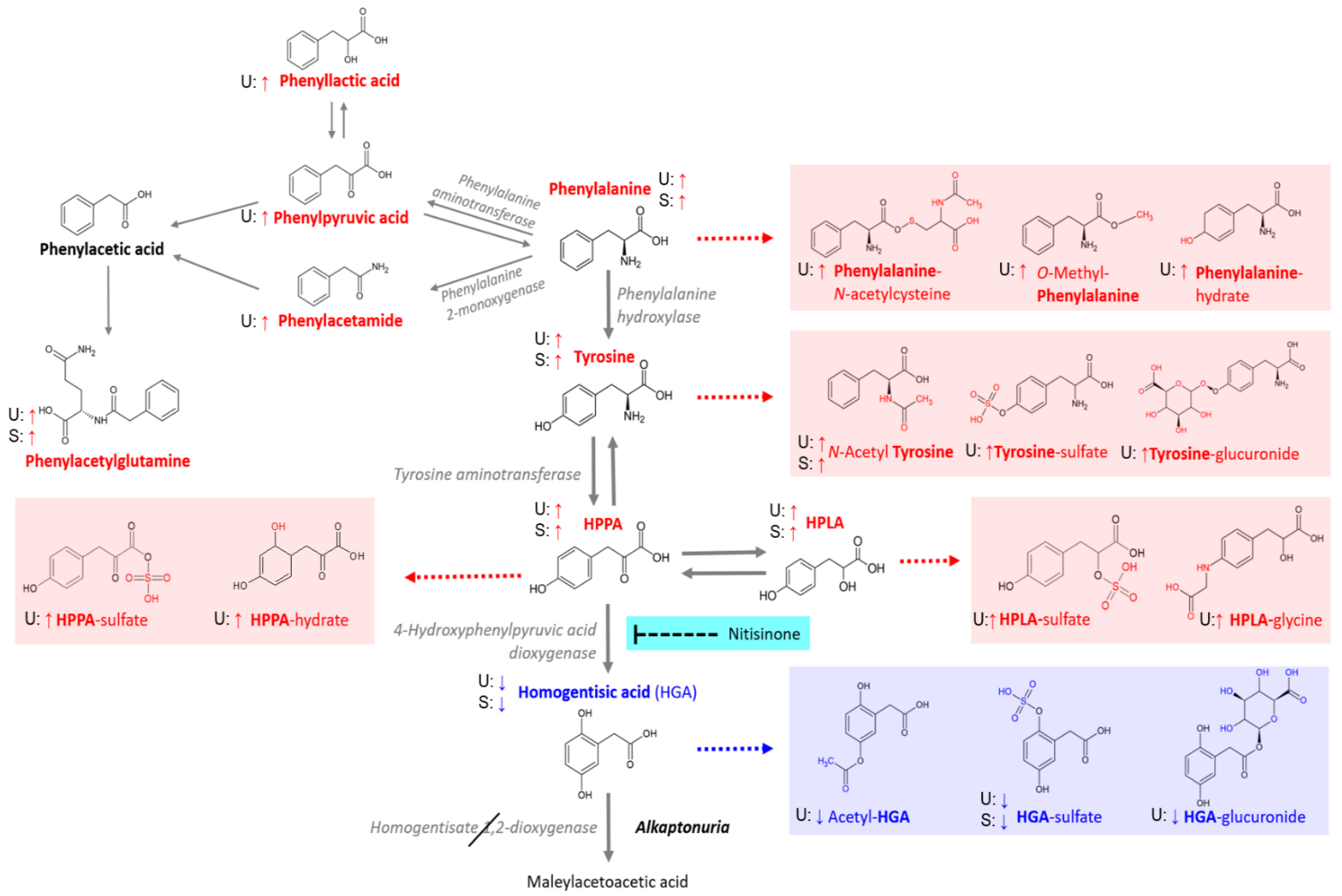 Metabolites 12 00927 g001