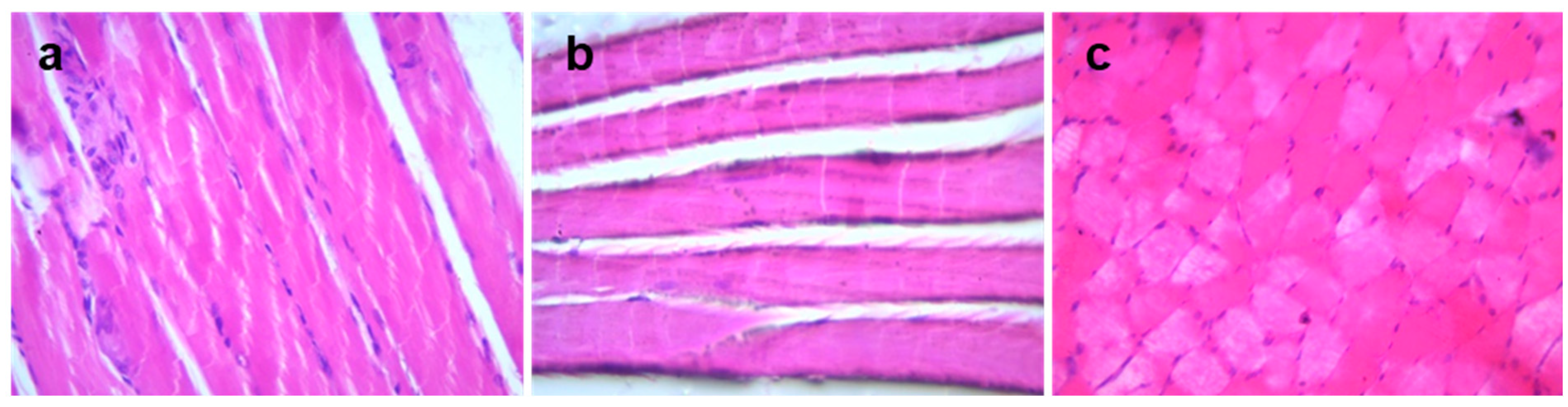 Metabolites 12 00939 g003 Metabolites 12 00939 g003