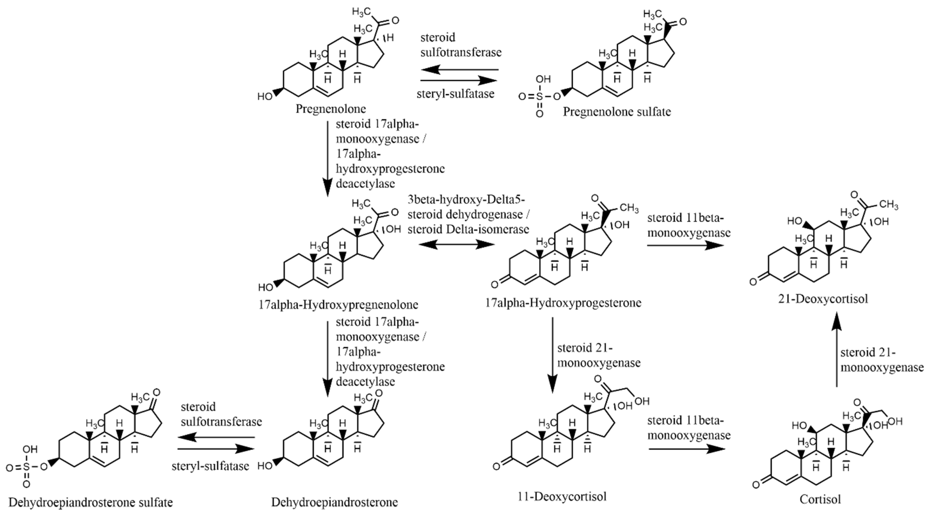 Metabolites Free FullText Reduced DehydroepiandrosteroneSulfate