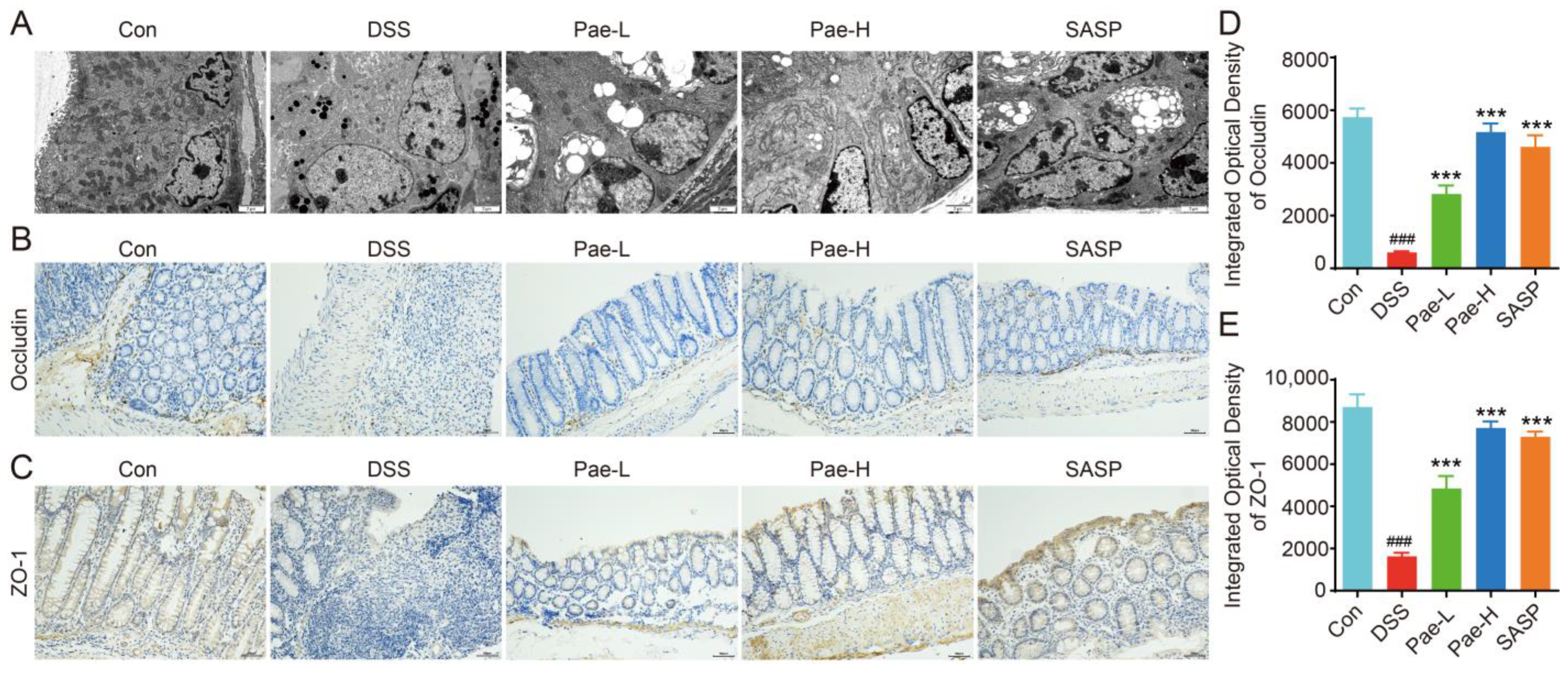 Metabolites 12 00956 g003 Metabolites 12 00956 g003