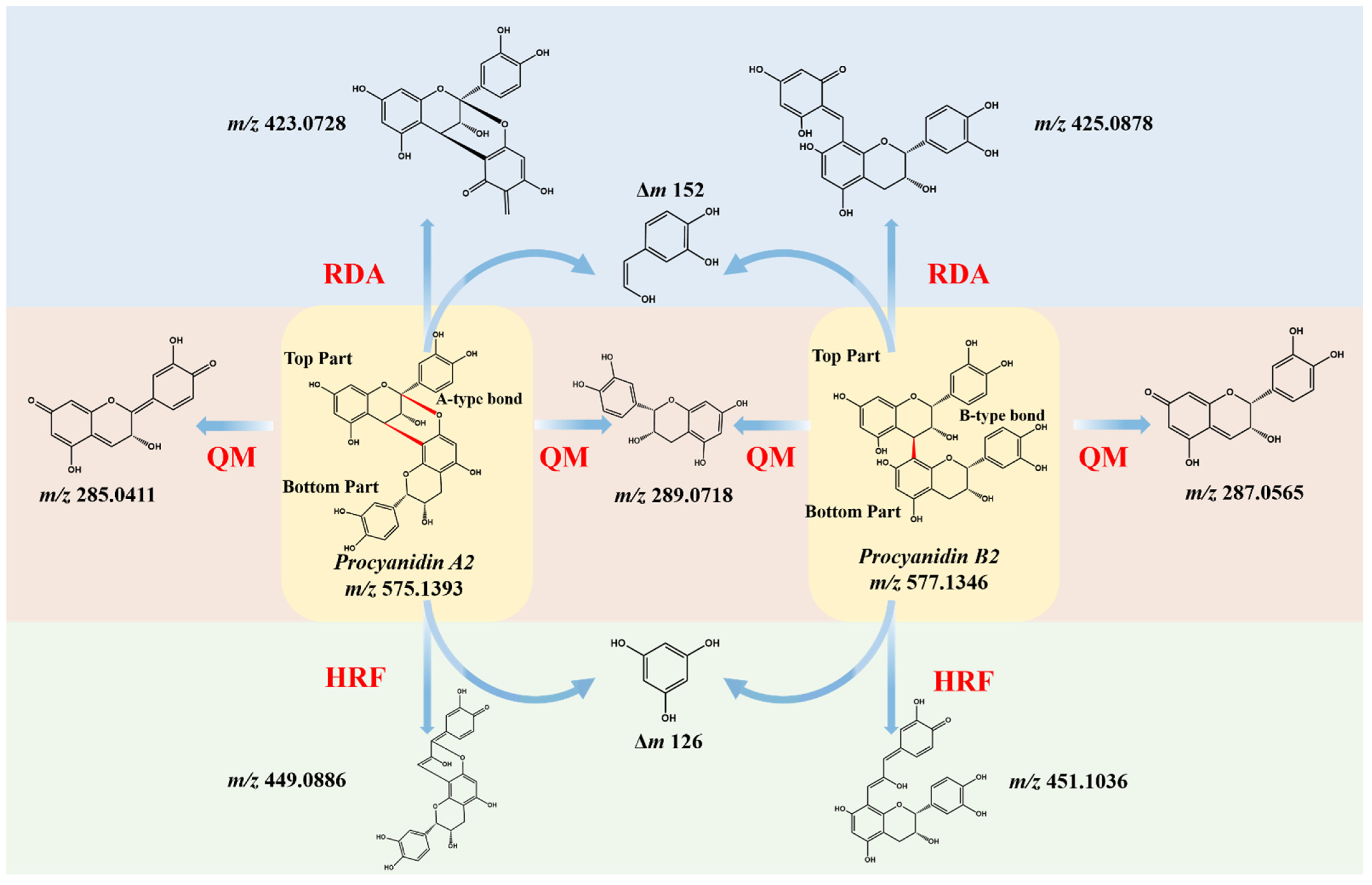 Metabolites 12 00957 g001 Metabolites 12 00957 g001