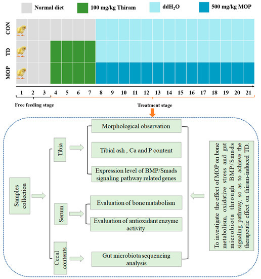 むー Co2 and Co3 Mixed Cluster Secondary Building Unit Approach