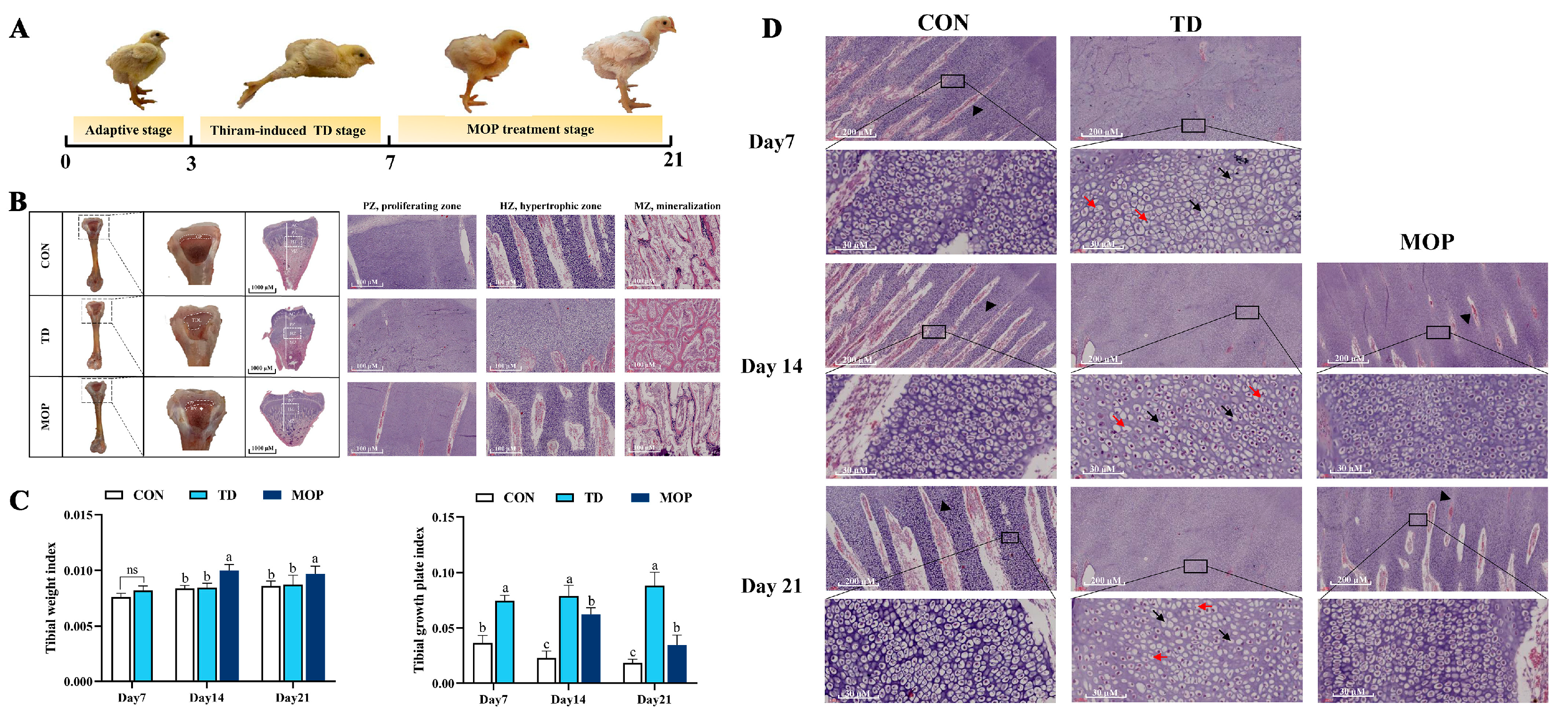Metabolites 12 00958 g002 Metabolites 12 00958 g002