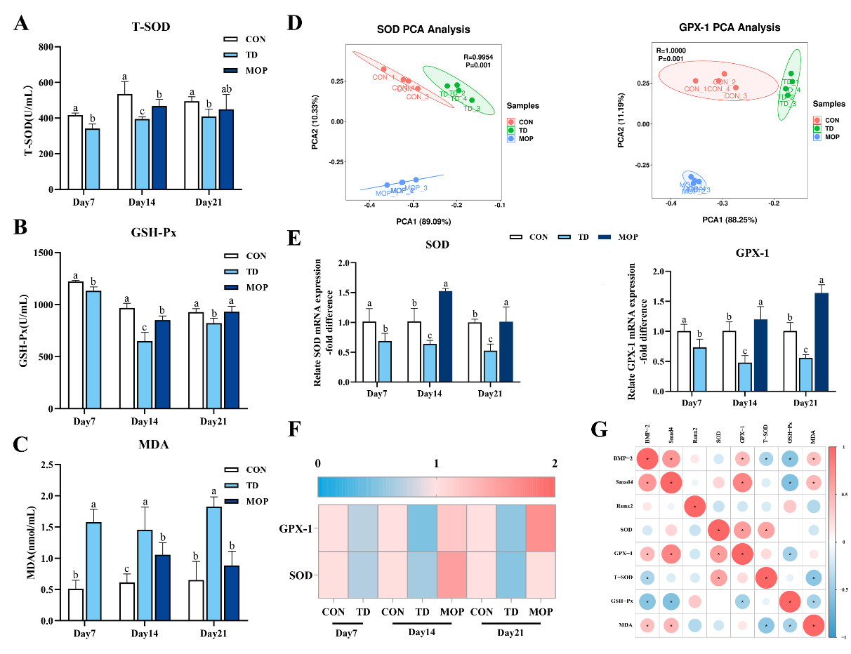 Metabolites 12 00958 g005 Metabolites 12 00958 g005