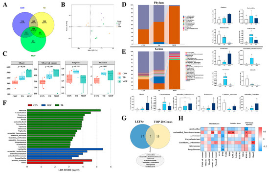 Morinda officinalis Polysaccharides Ameliorates Bone Growth Morinda officinalis Polysaccharides Ameliorates Bone Growth