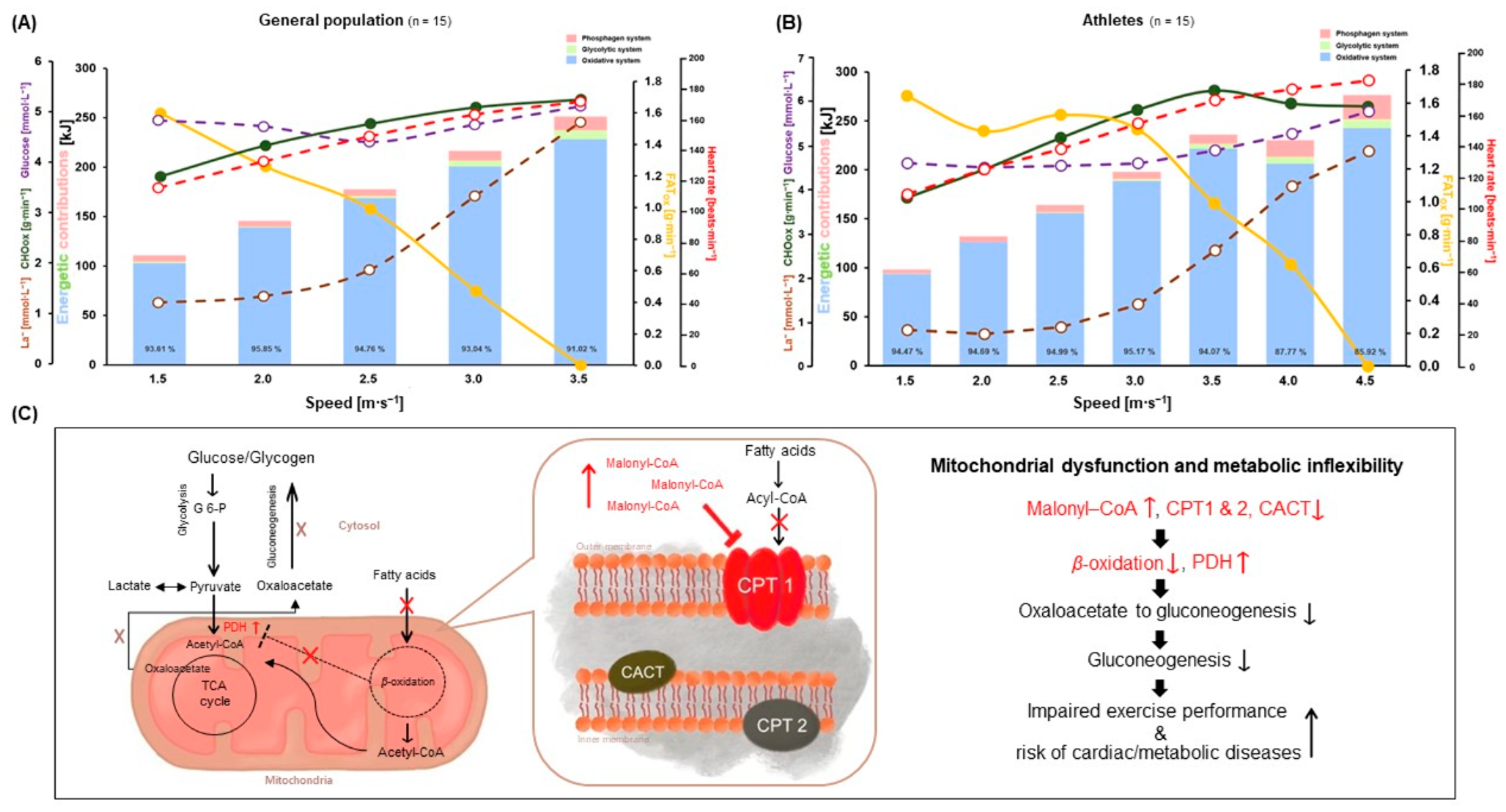 Metabolites 12 00965 g004