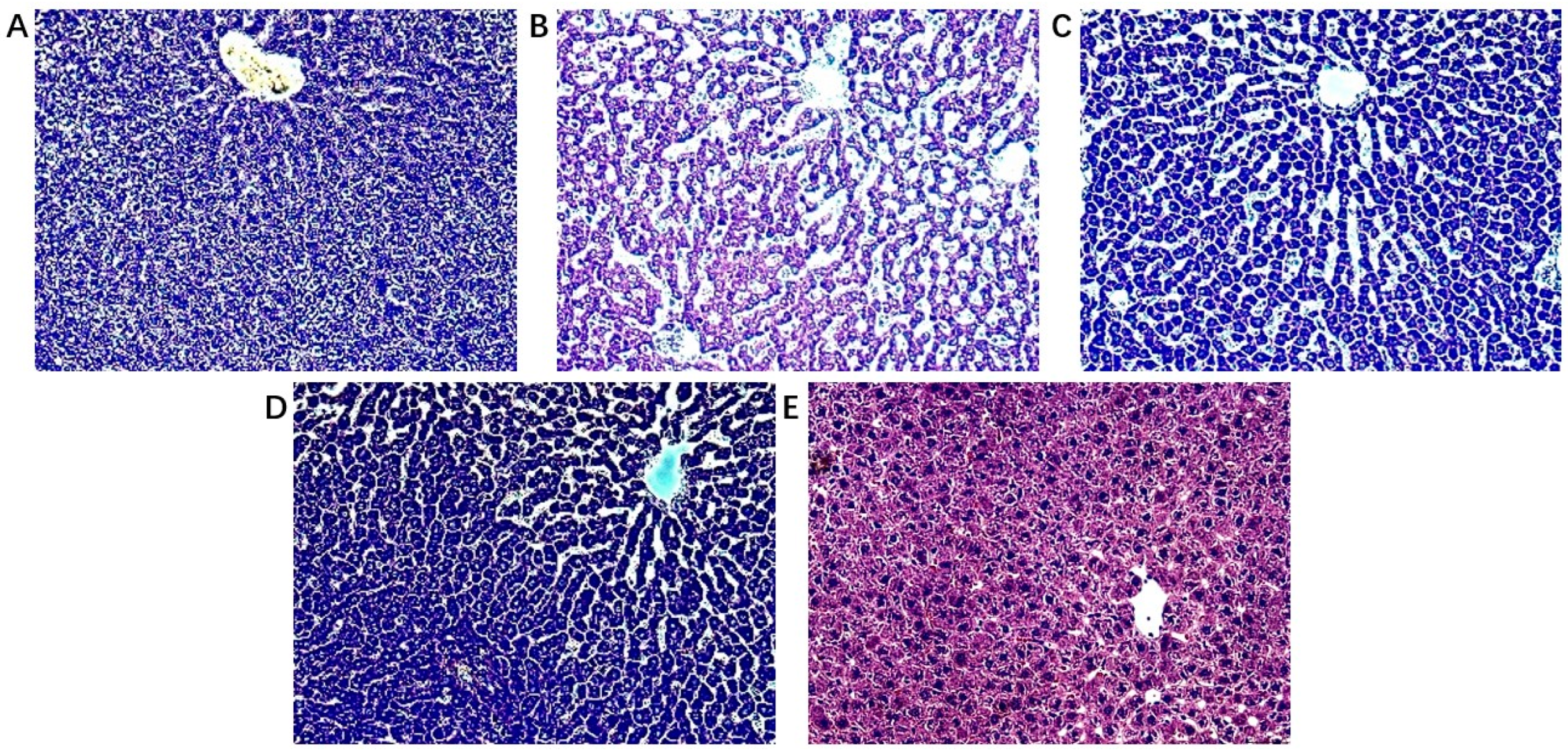 Metabolites 12 00981 g002 Metabolites 12 00981 g002