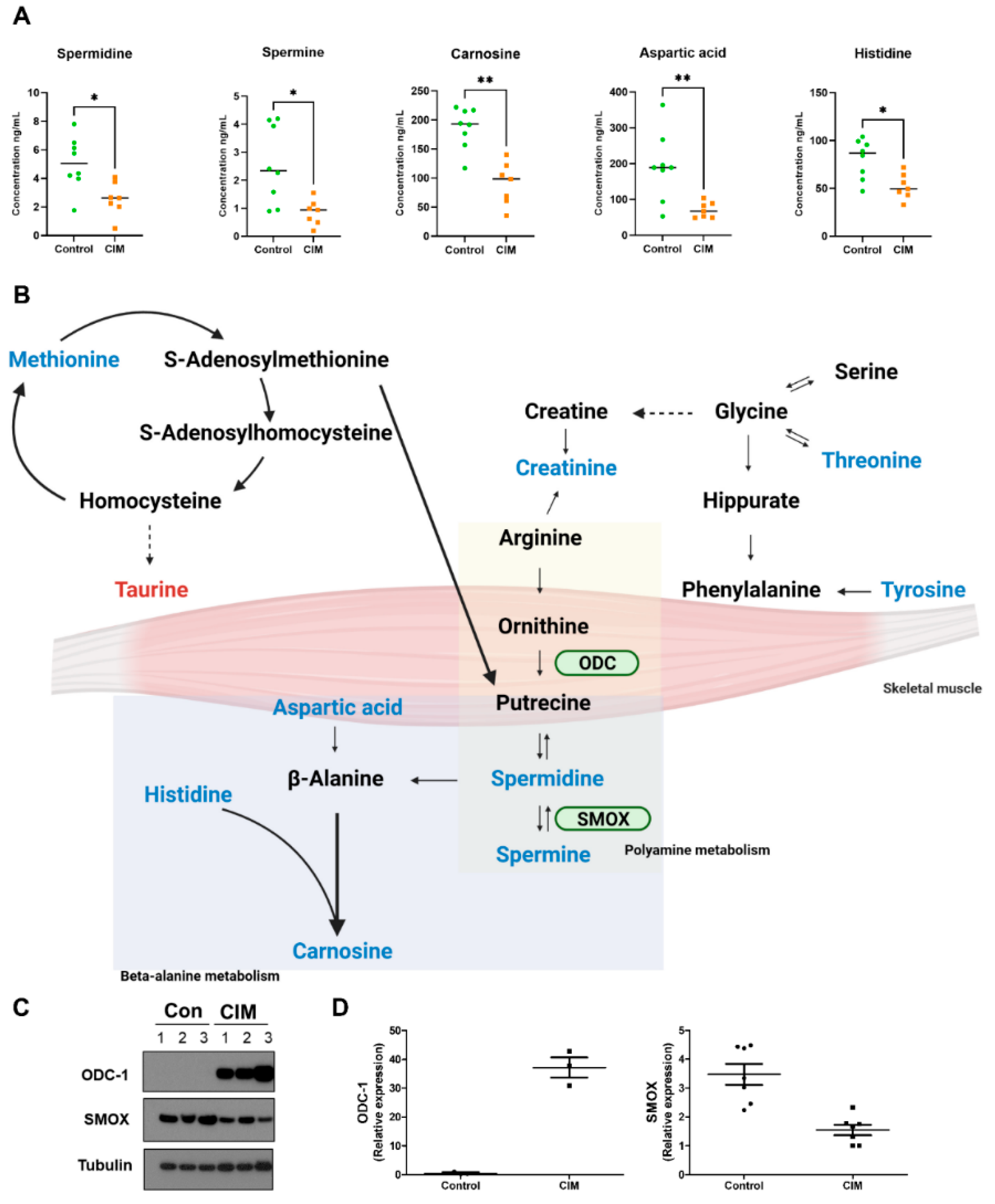 Metabolites 12 01004 g004