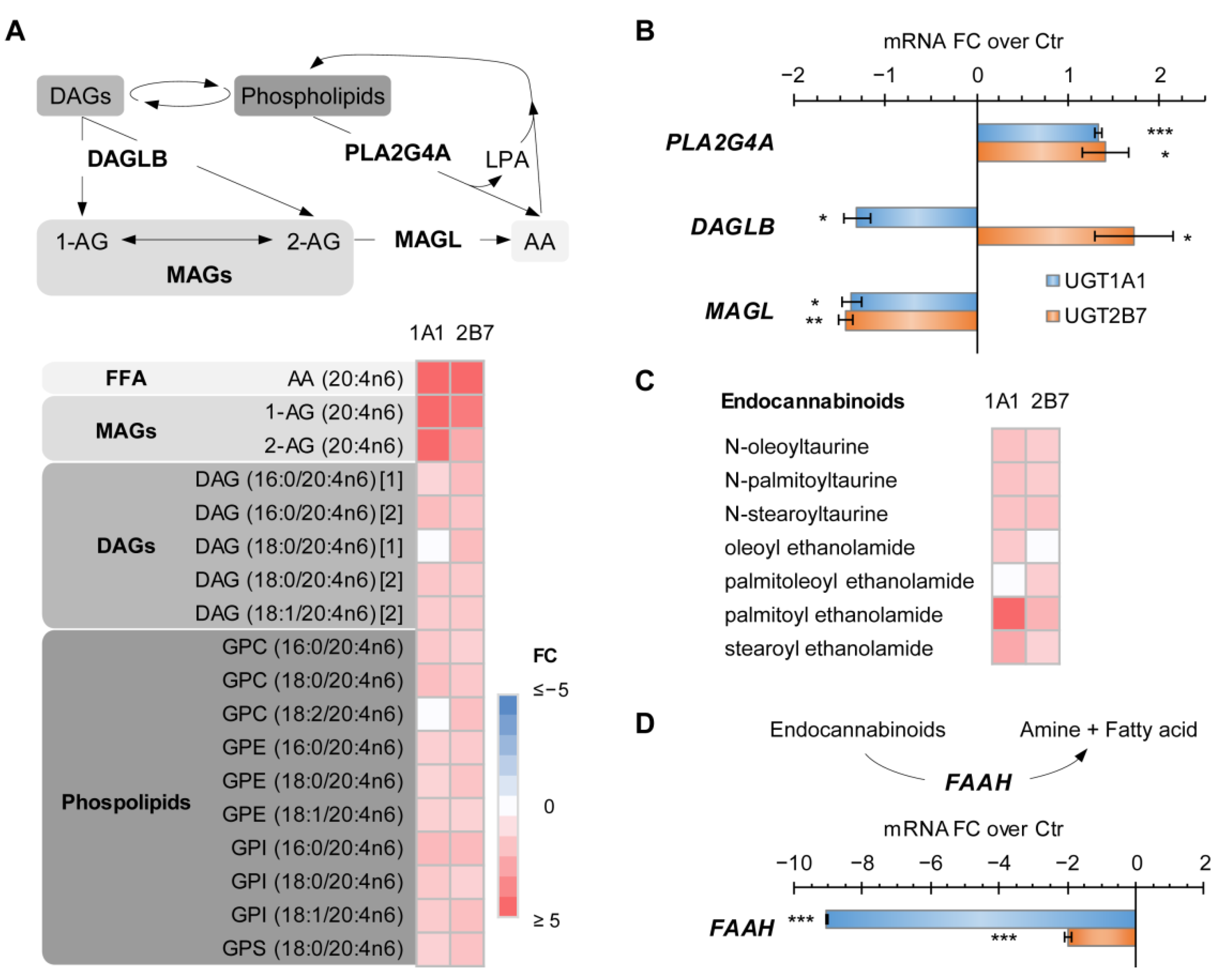 Metabolites 12 01006 g004 Metabolites 12 01006 g004