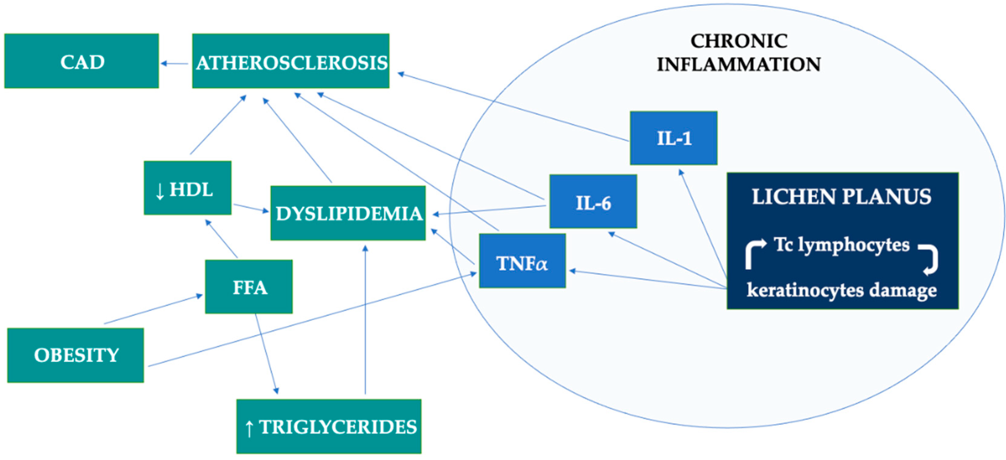 Metabolites 12 01008 g002