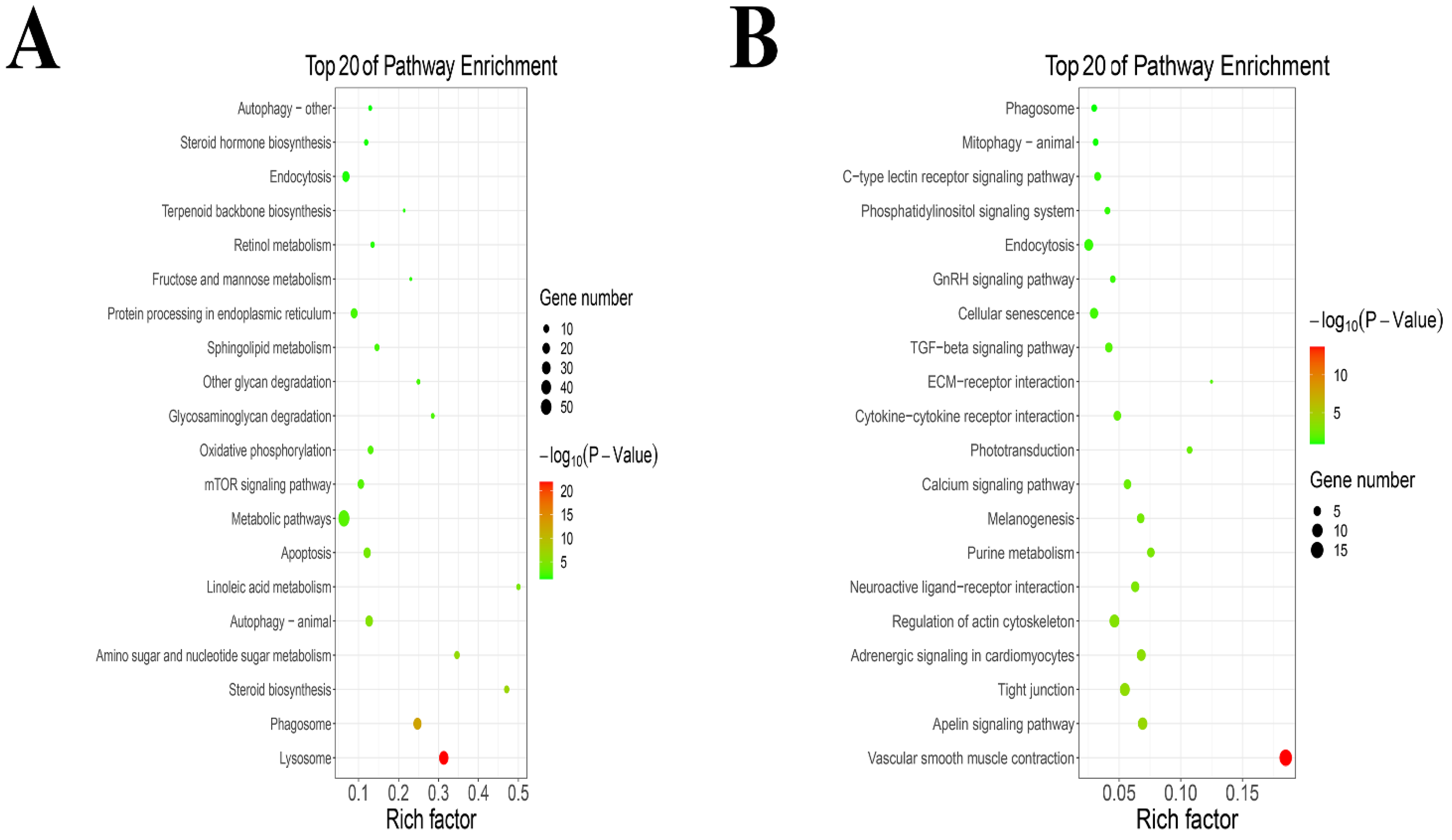 Metabolites 12 01009 g003 Metabolites 12 01009 g003