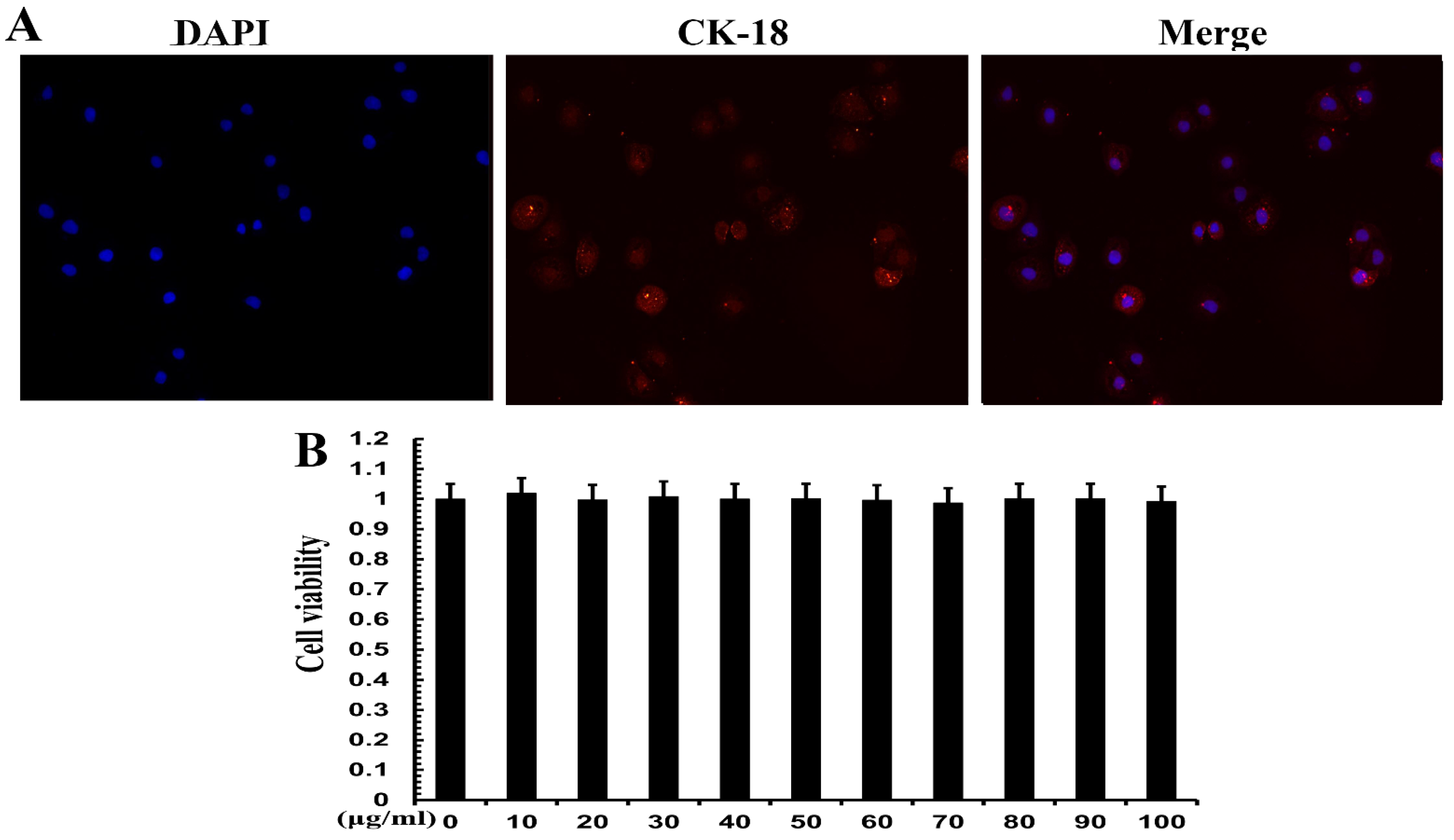 Metabolites 12 01009 g005 Metabolites 12 01009 g005