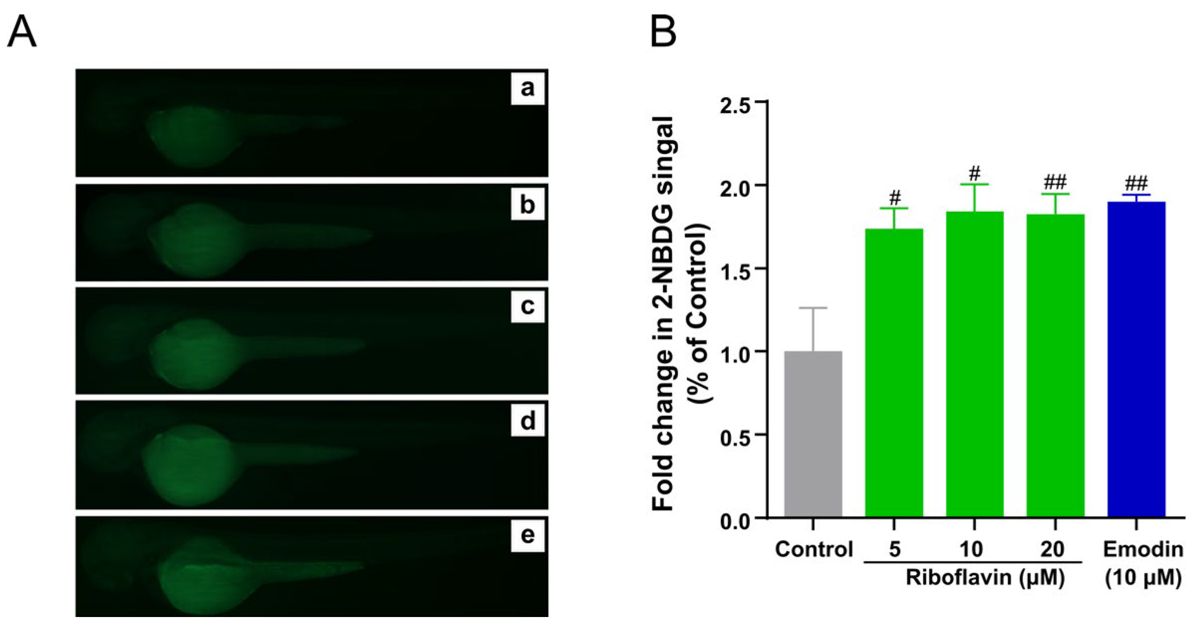 Metabolites 12 01011 g006 Metabolites 12 01011 g006