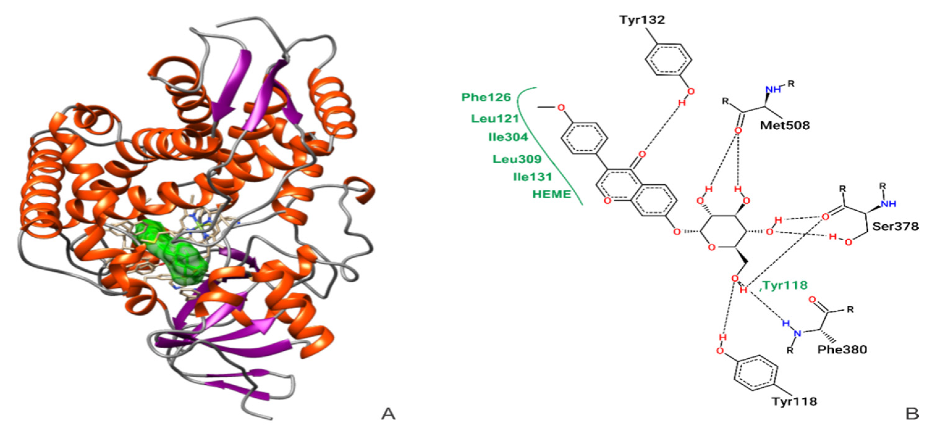 Metabolites 12 01014 g001 Metabolites 12 01014 g001