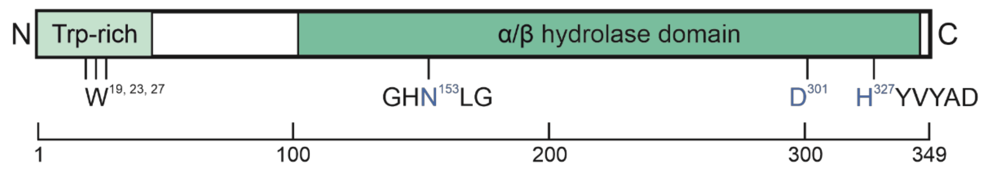 Metabolites 12 01015 g001 Metabolites 12 01015 g001