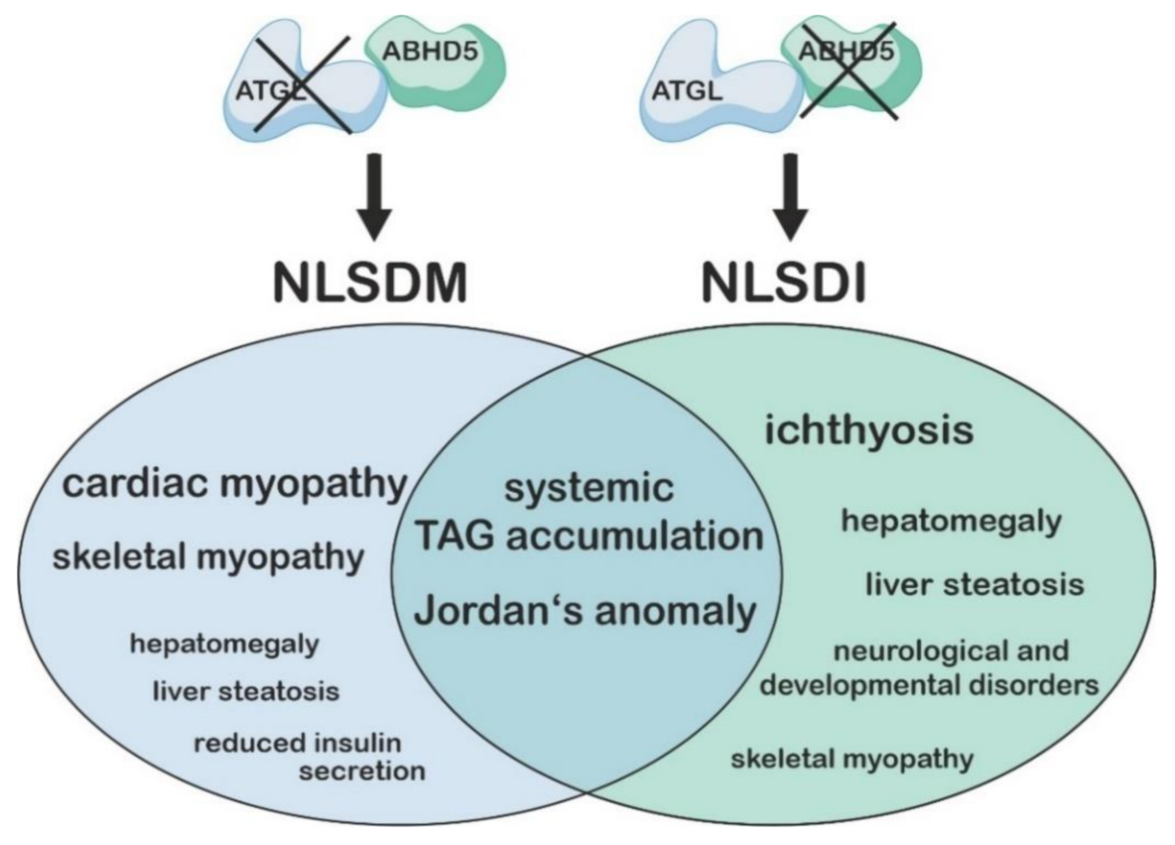 Metabolites 12 01015 g002 Metabolites 12 01015 g002