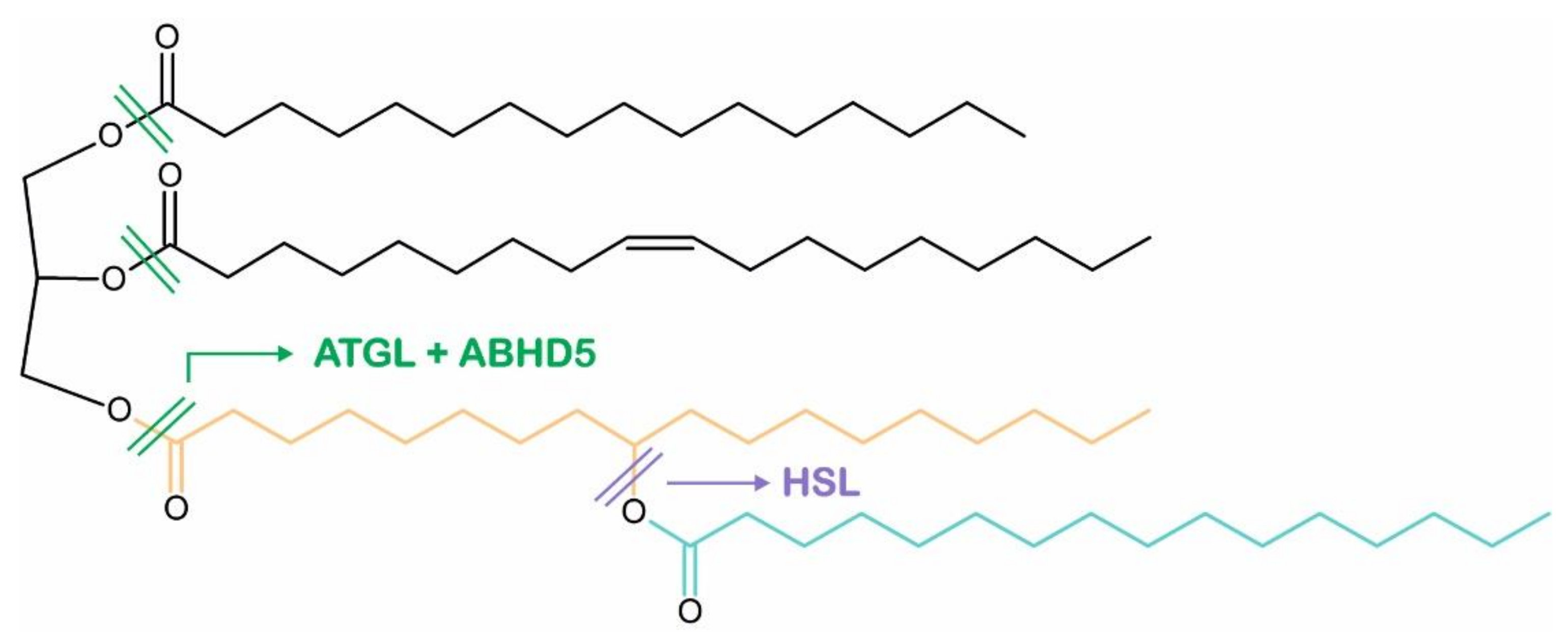 Metabolites 12 01015 g004 Metabolites 12 01015 g004