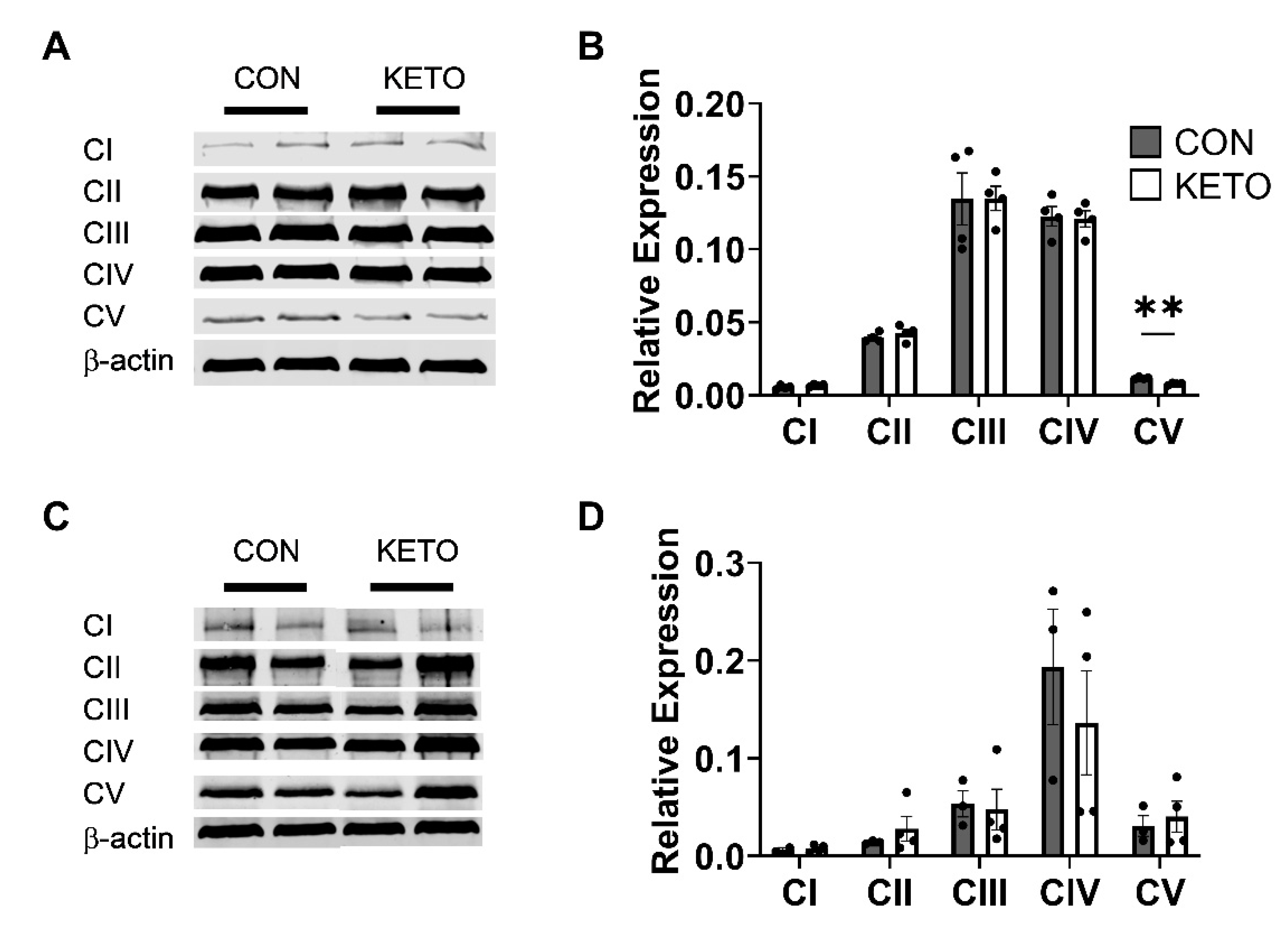 Metabolites 12 01019 g004 Metabolites 12 01019 g004