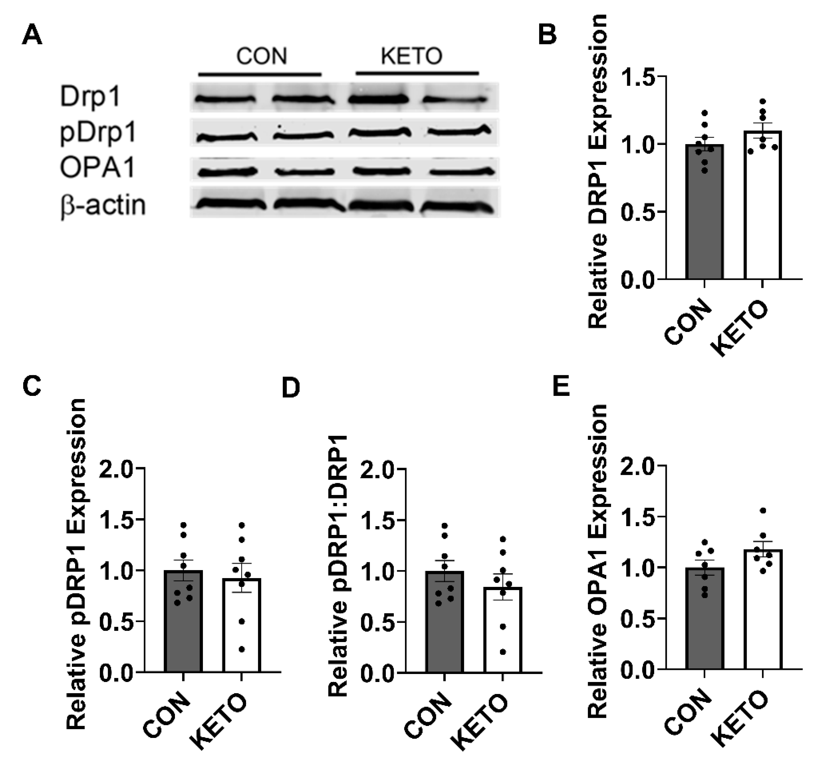 Metabolites 12 01019 g005 Metabolites 12 01019 g005