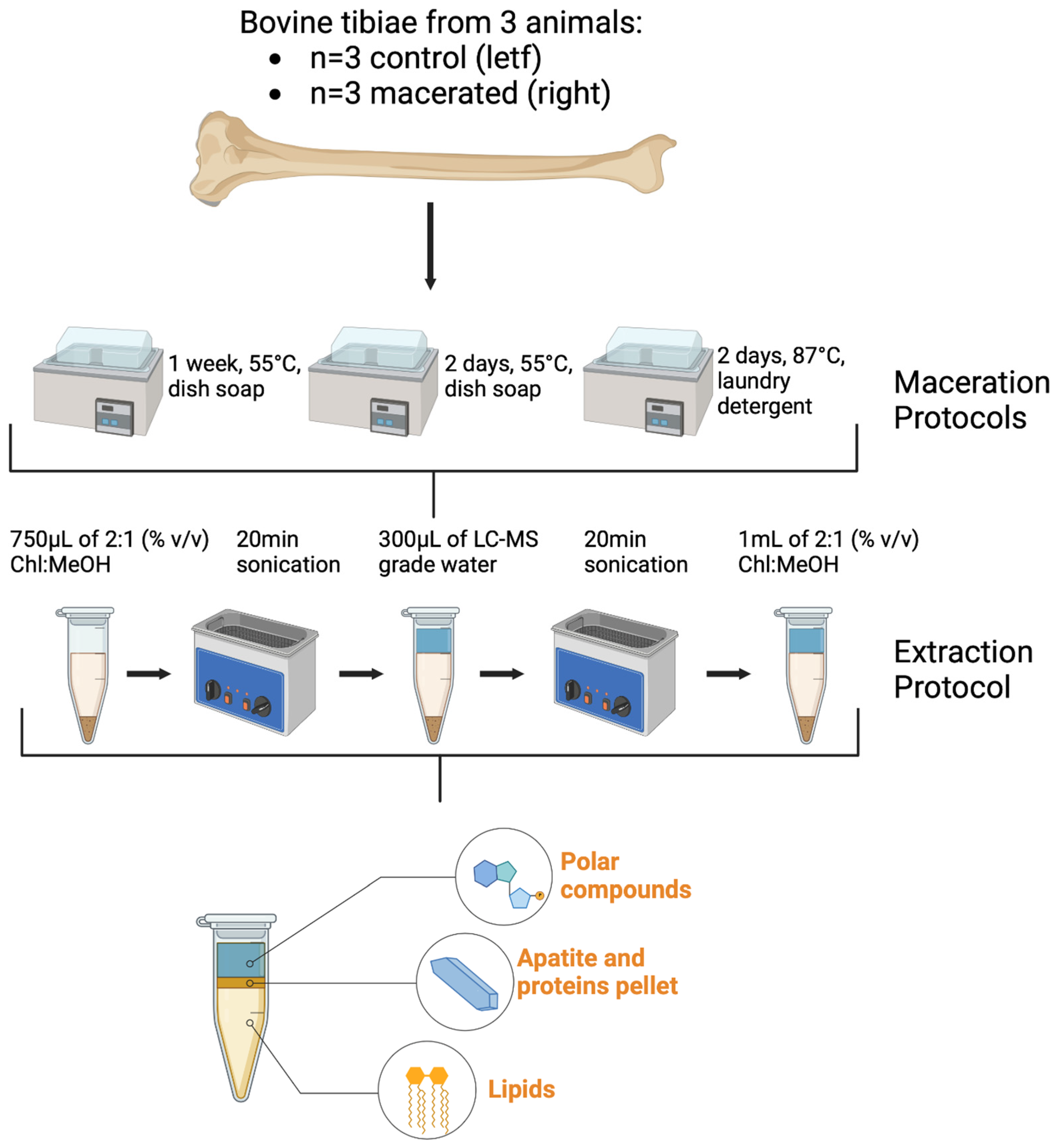 Metabolites 12 01020 g001