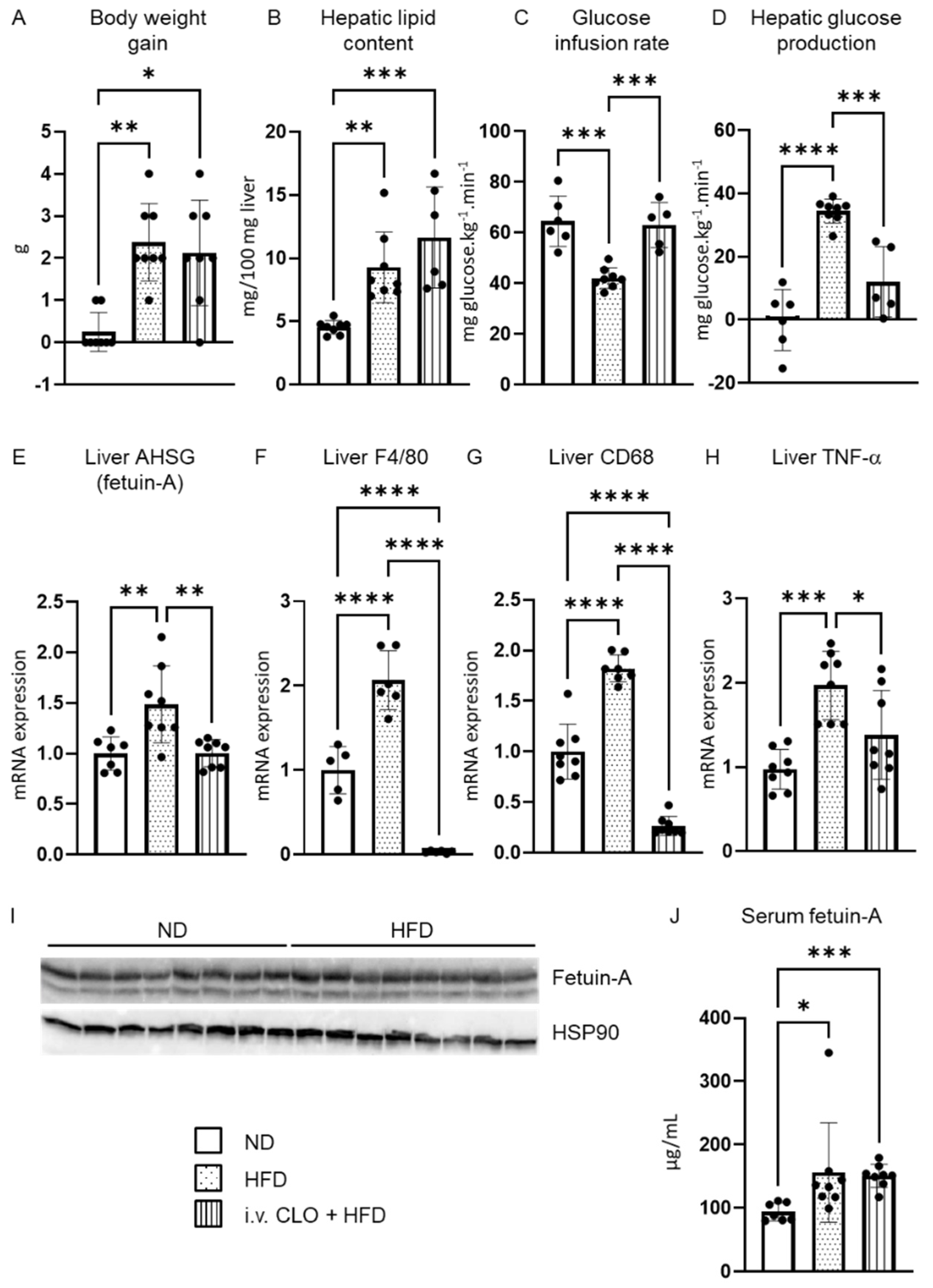 Metabolites 12 01023 g001 Metabolites 12 01023 g001