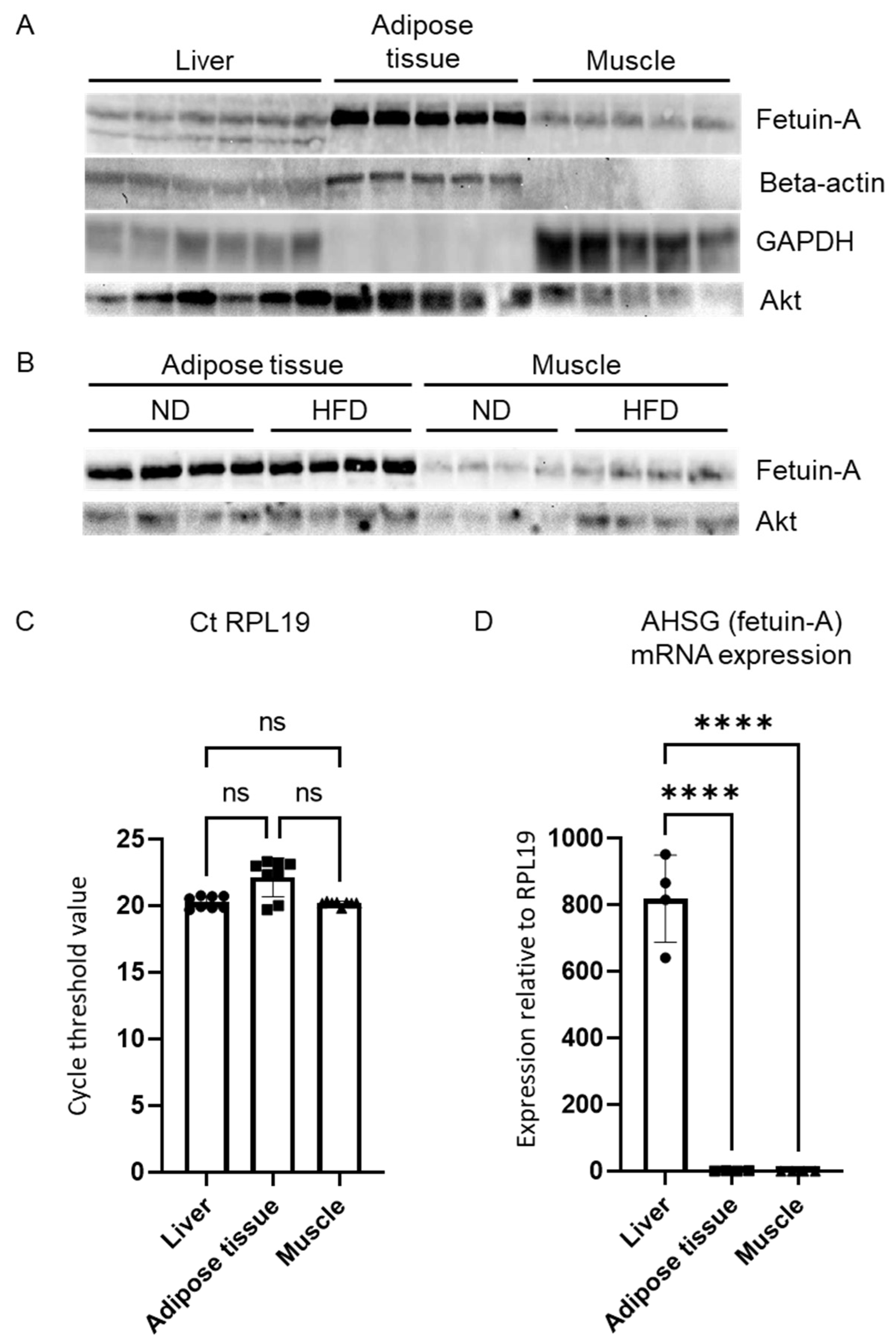 Metabolites 12 01023 g003 Metabolites 12 01023 g003