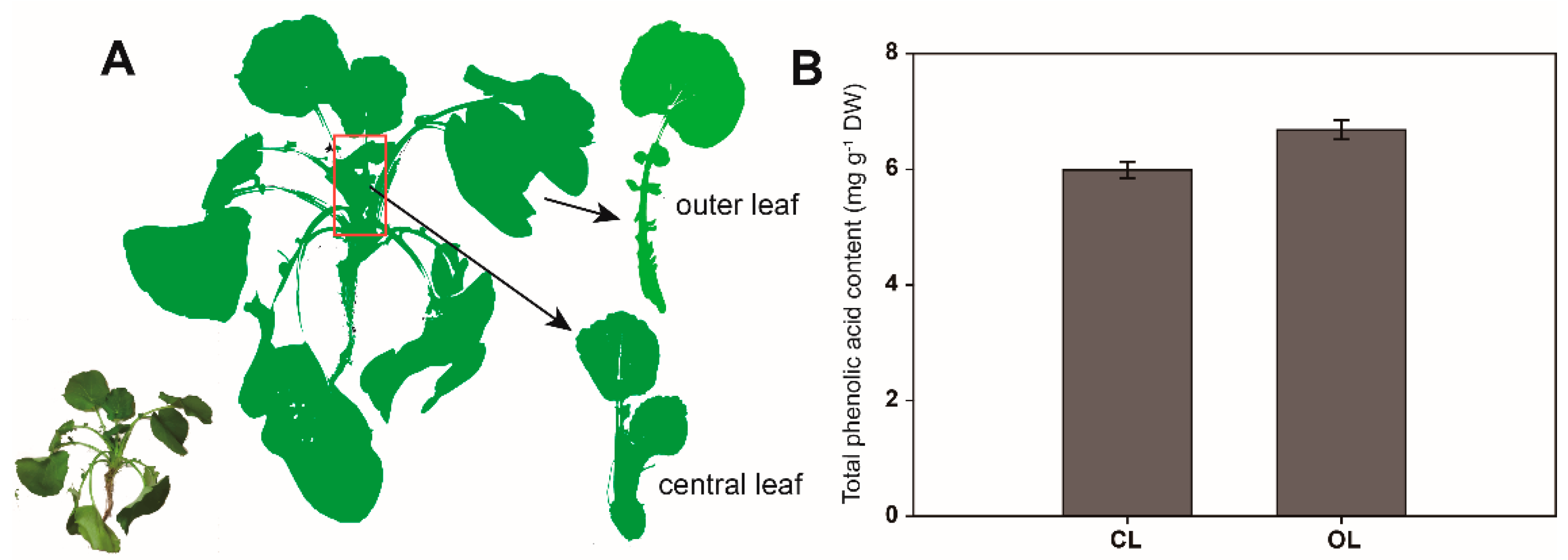 Metabolites 12 01024 g001