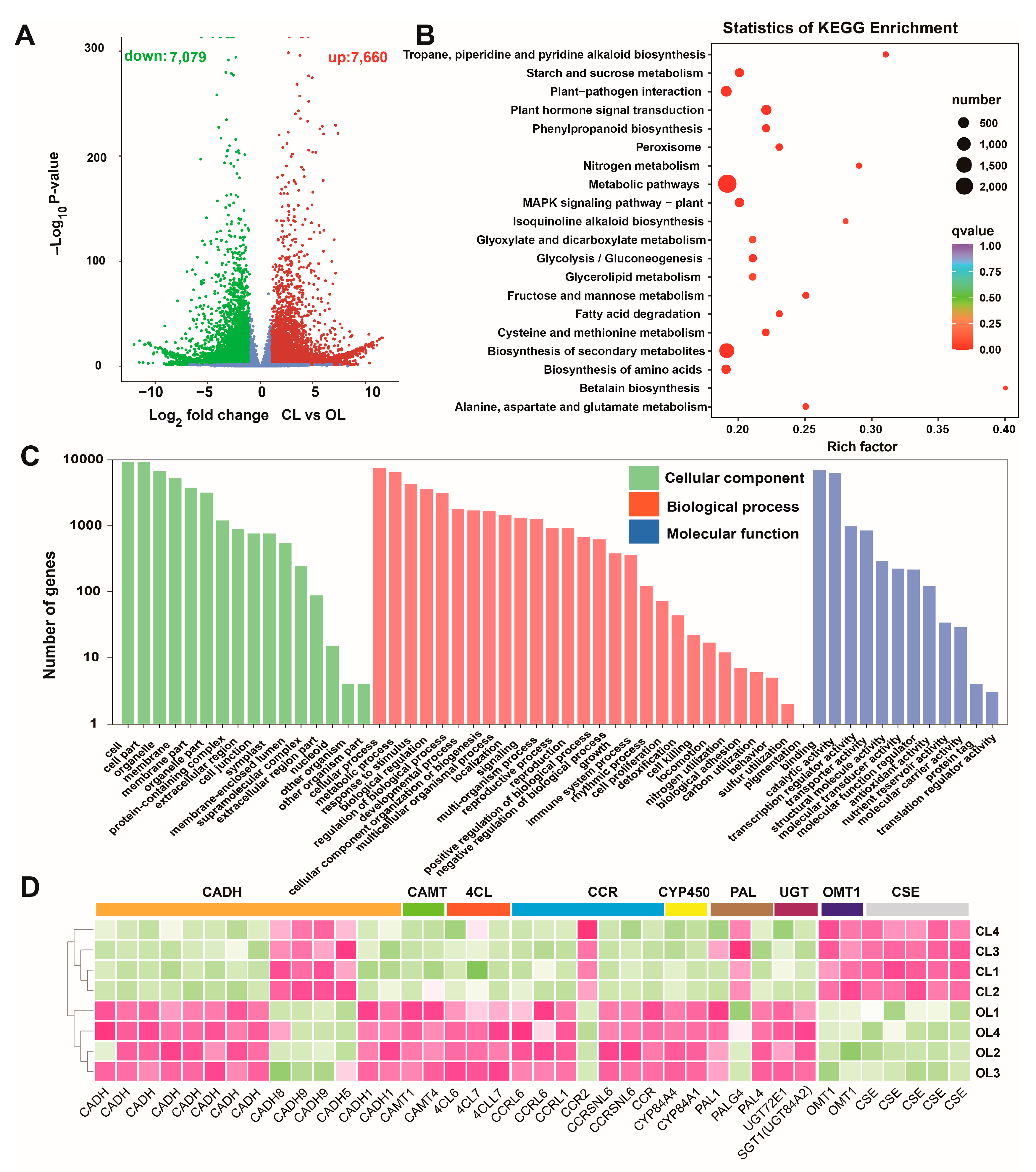Metabolites 12 01024 g004