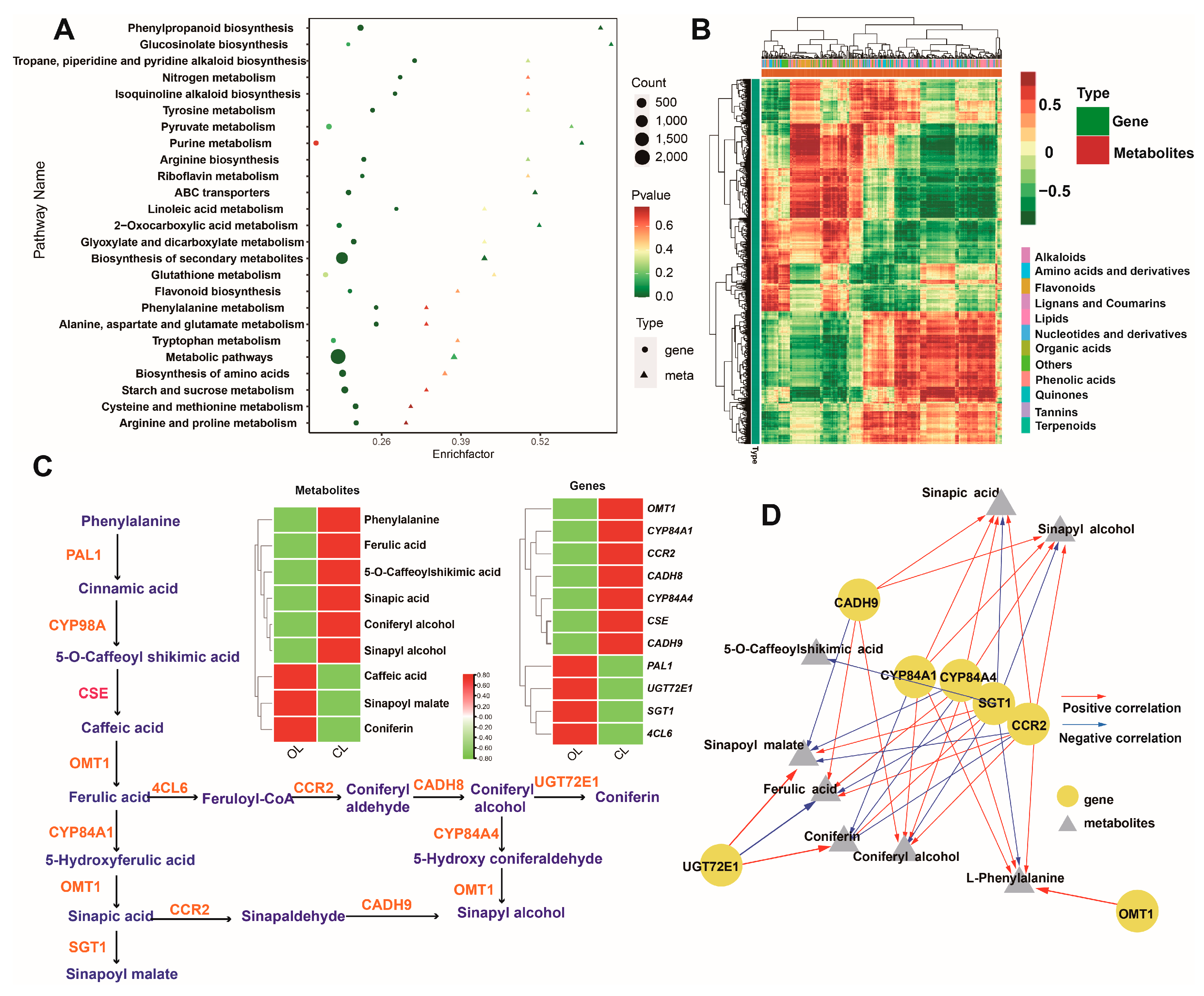 Metabolites 12 01024 g005