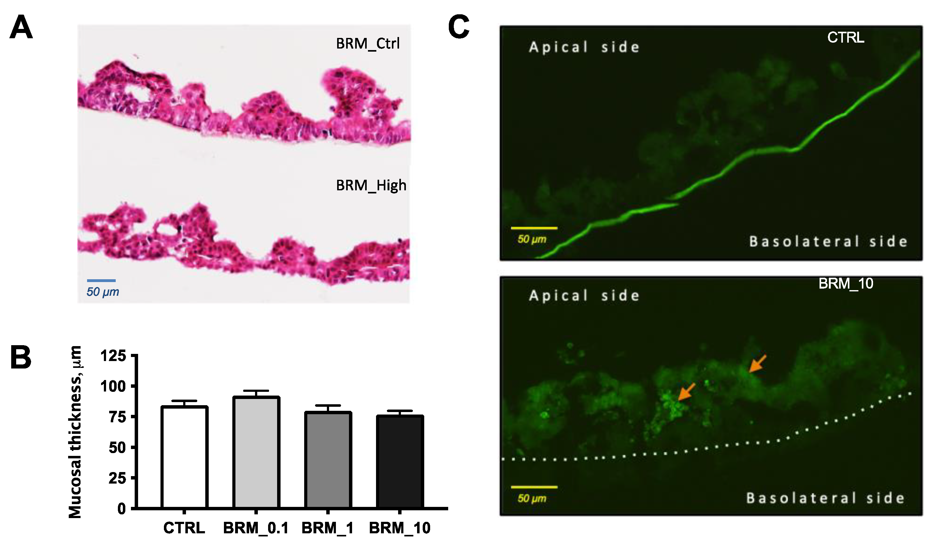Metabolites 12 01027 g006