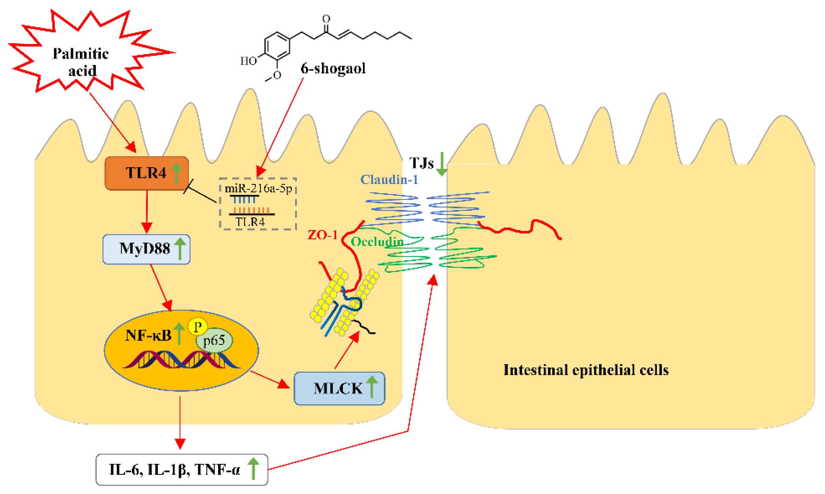 Metabolites 12 01028 g009