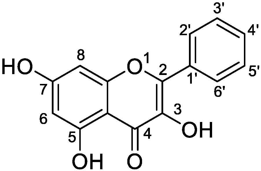 Metabolites 12 01032 g001 Metabolites 12 01032 g001