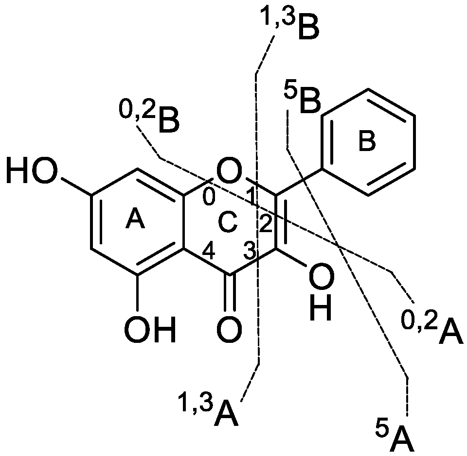 Metabolites 12 01032 g003 Metabolites 12 01032 g003
