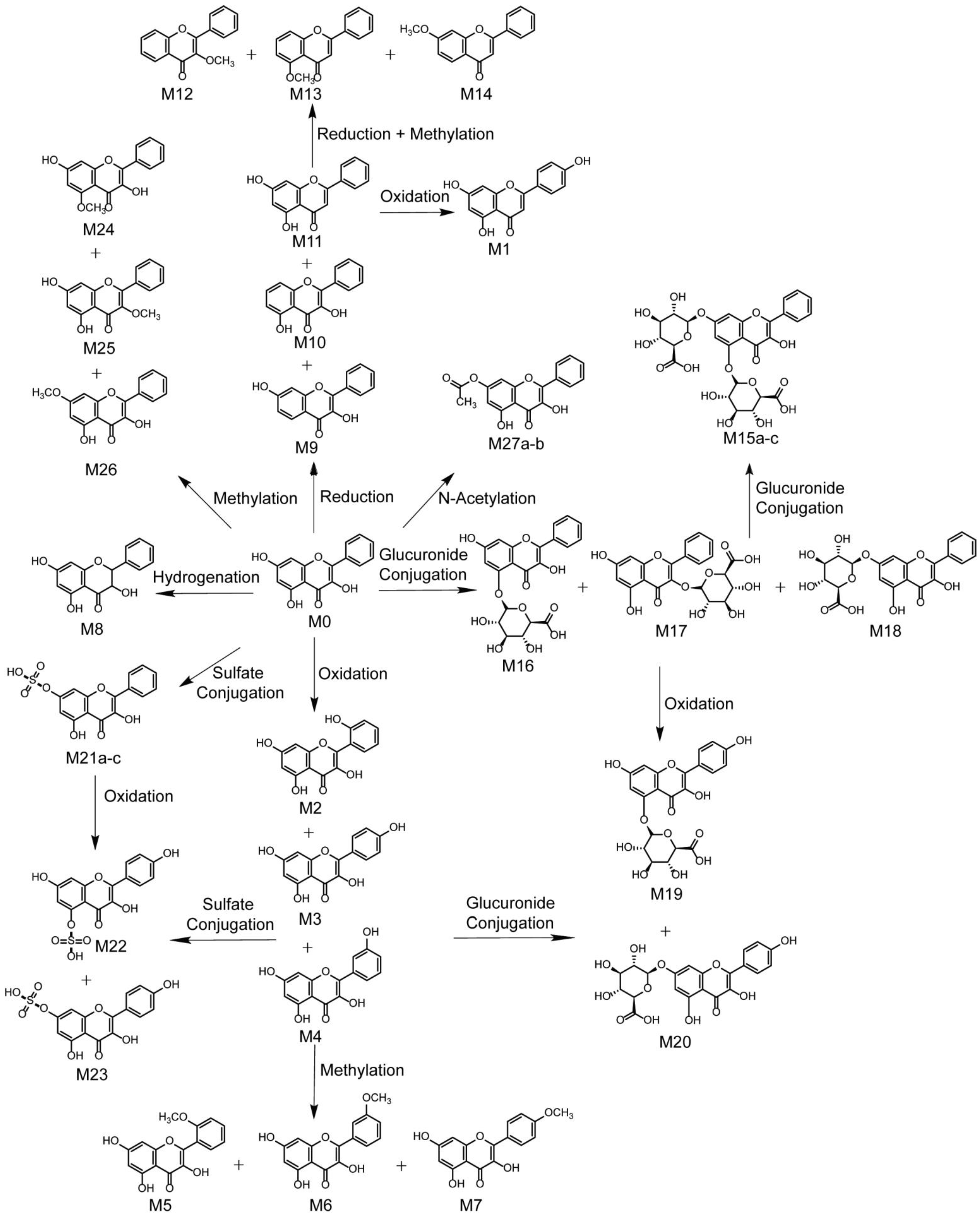 Metabolites 12 01032 g008 Metabolites 12 01032 g008